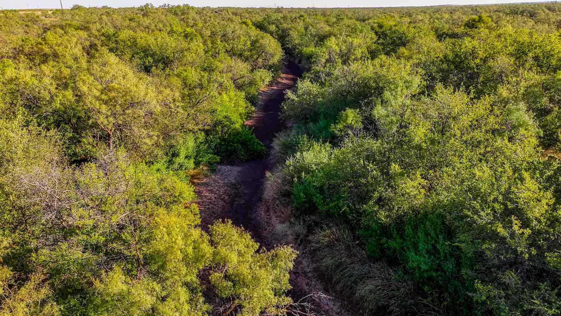 BBF-Champion Creek Ranch property picture 27 of 39