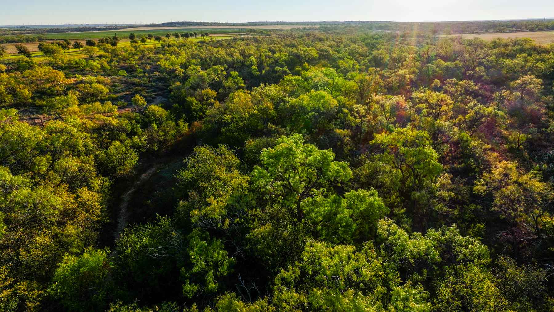 BBF-Champion Creek Ranch property picture 33 of 39