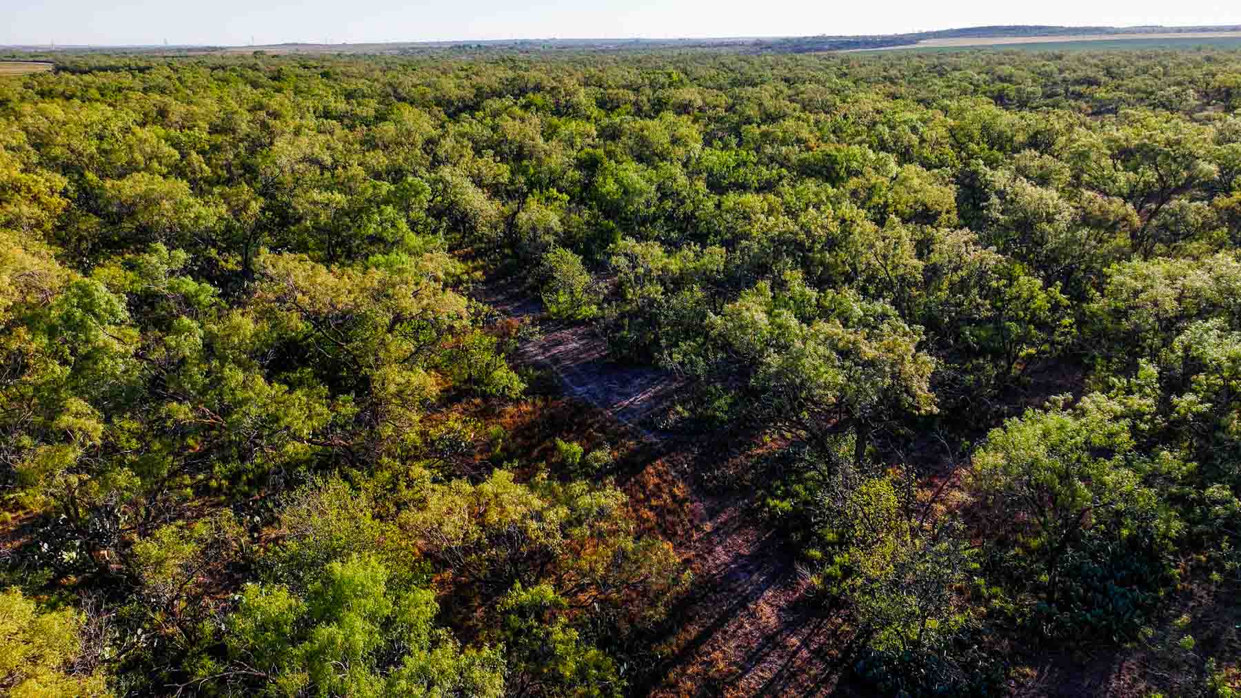 BBF-Champion Creek Ranch property picture 36 of 39