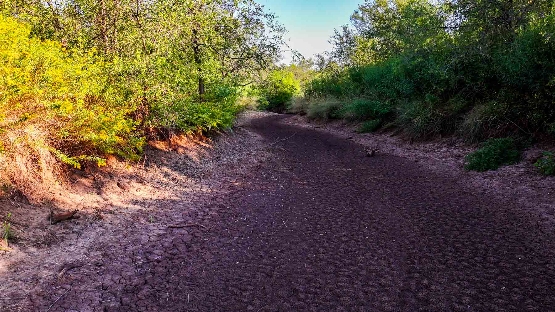 BBF-Champion Creek Ranch property picture 26 of 39