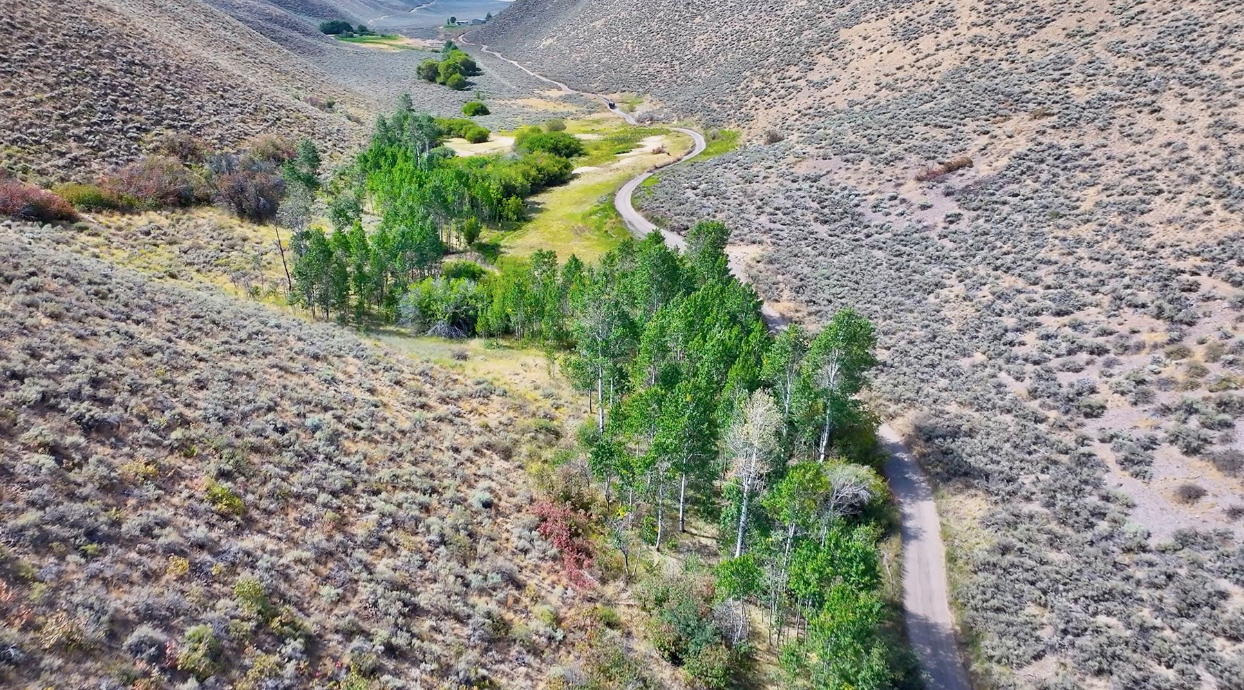 Spirit Woman Ranch property picture 44 of 57