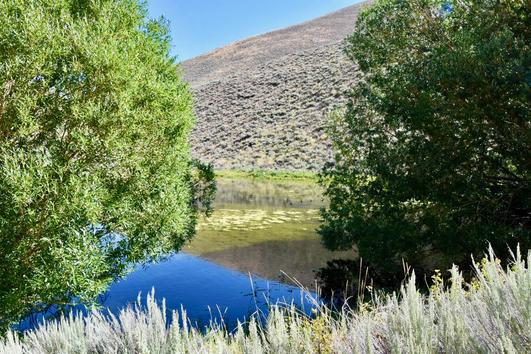 Spirit Woman Ranch property picture 41 of 57