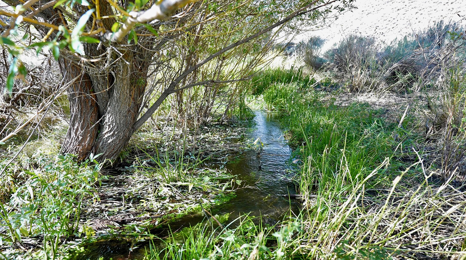 Spirit Woman Ranch property picture 34 of 57