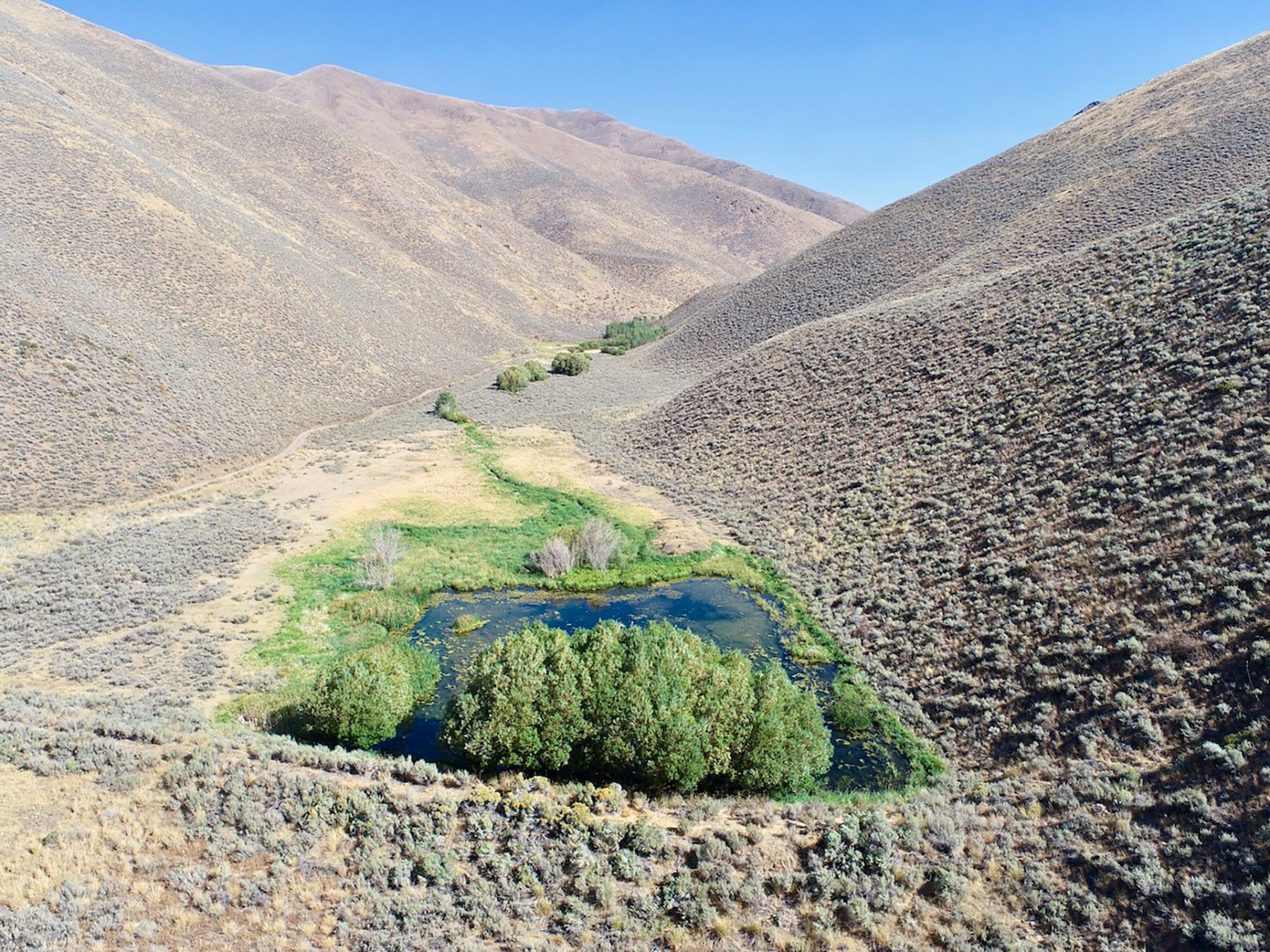 Spirit Woman Ranch property picture 51 of 57