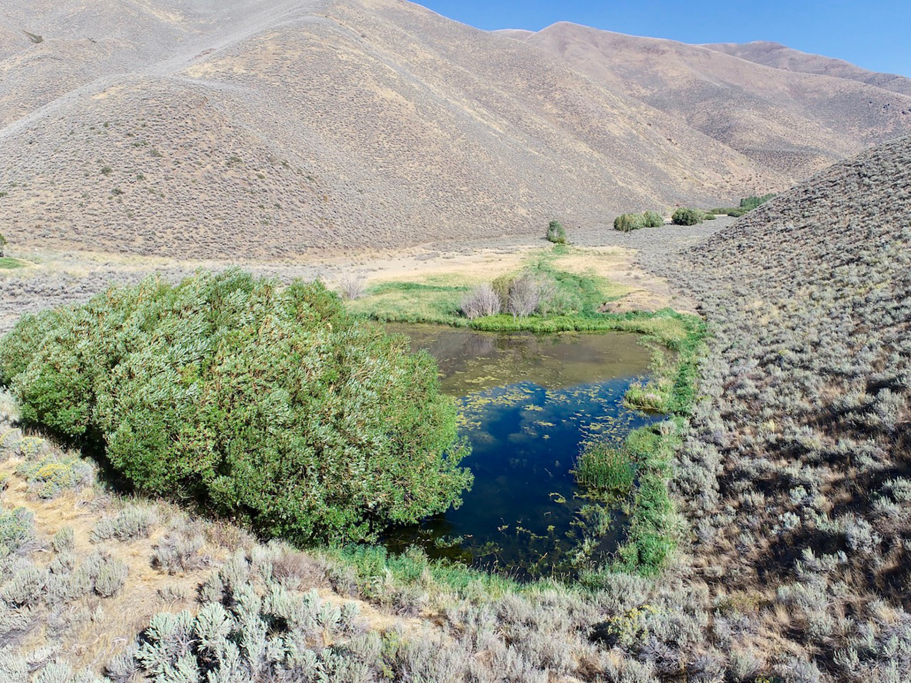 Spirit Woman Ranch property picture 50 of 57