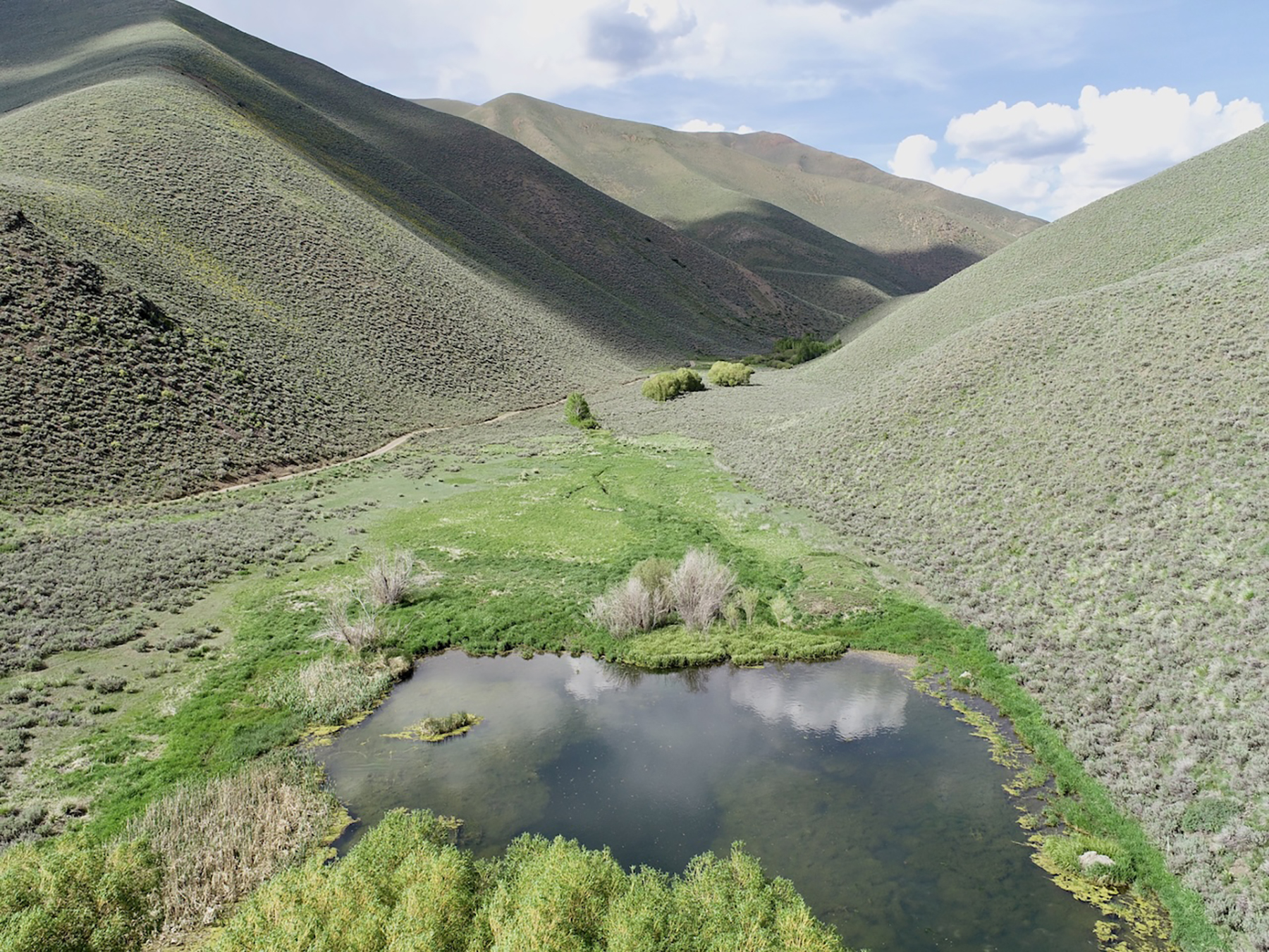 Spirit Woman Ranch property picture 20 of 57