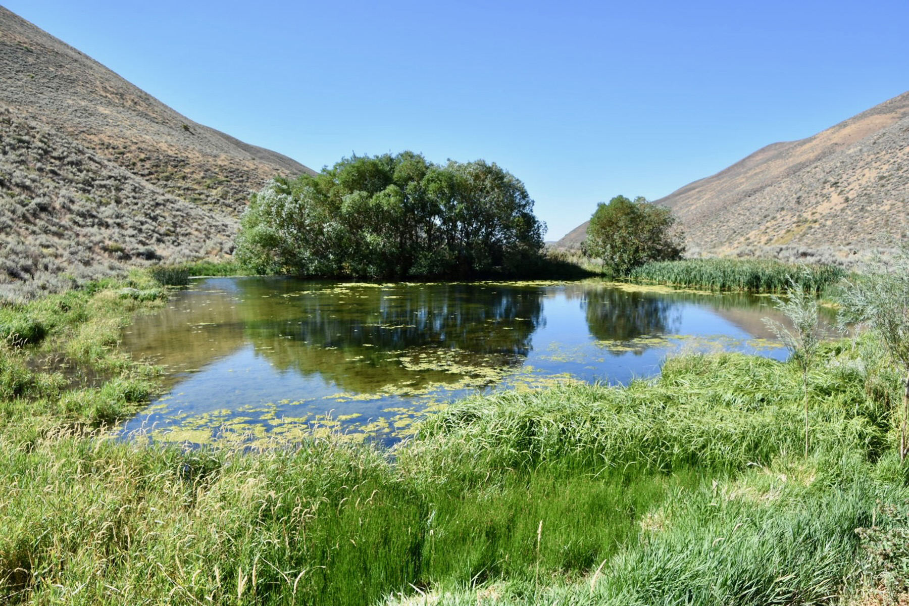 Spirit Woman Ranch property picture 43 of 57