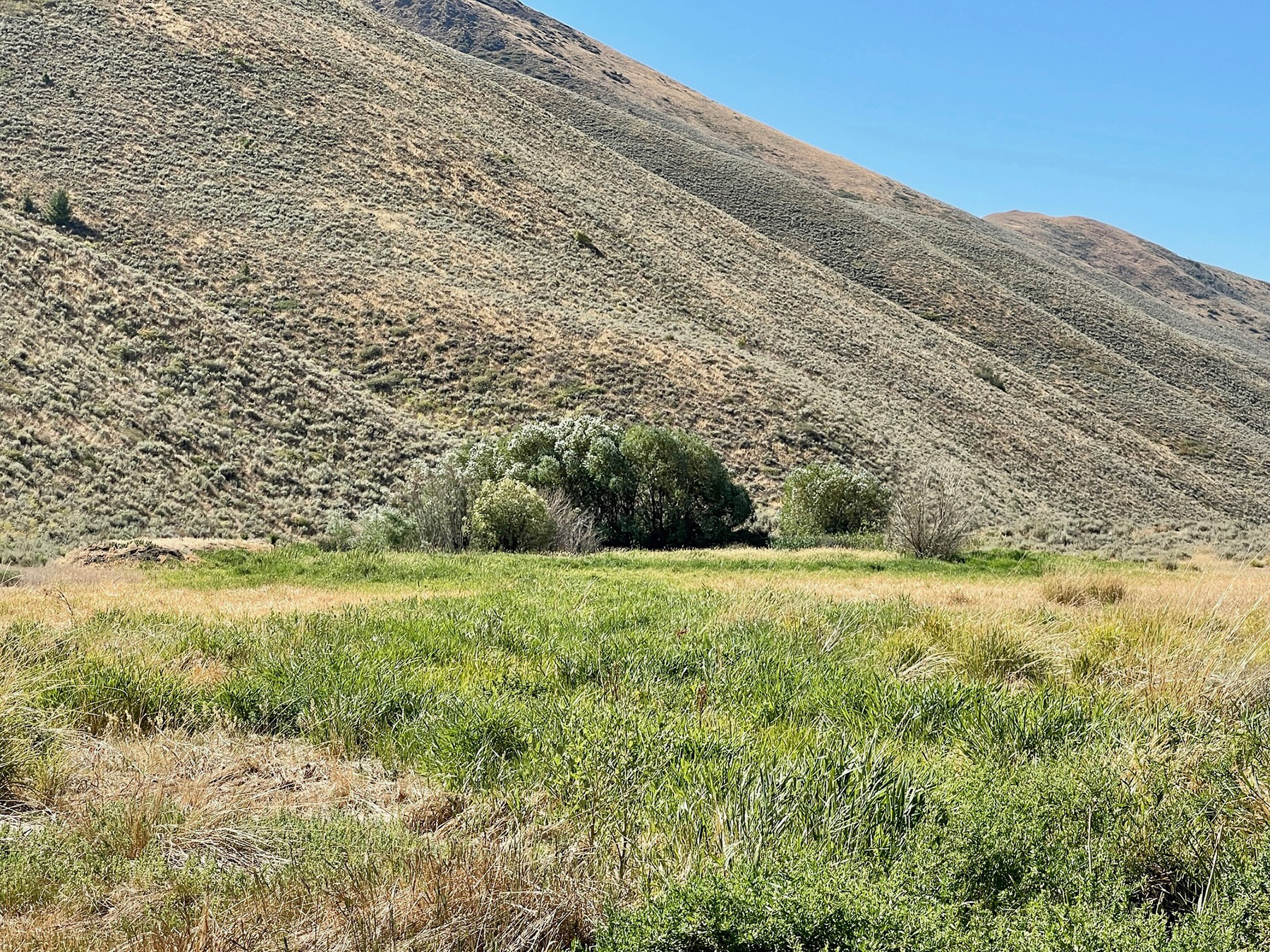 Spirit Woman Ranch property picture 37 of 57