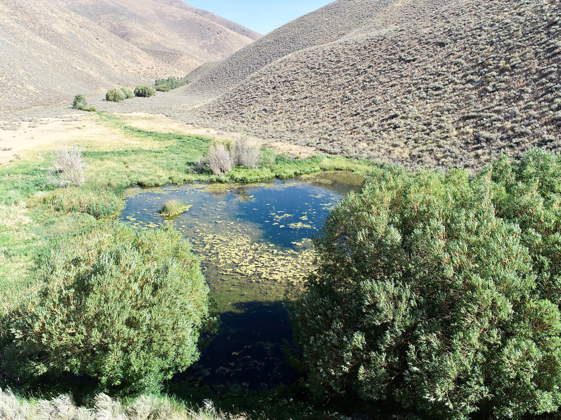 Spirit Woman Ranch property picture 49 of 57