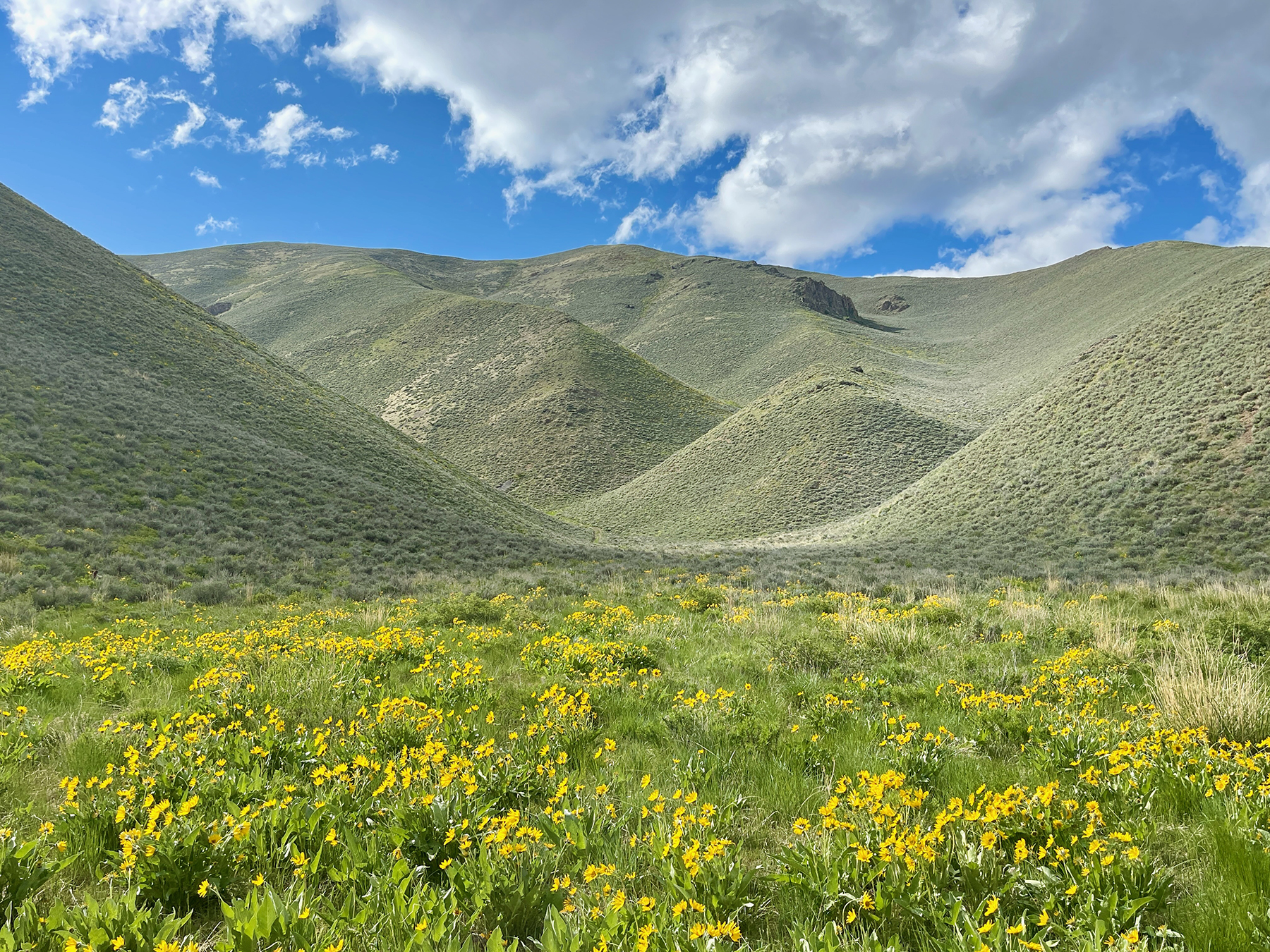 Spirit Woman Ranch property picture 10 of 57