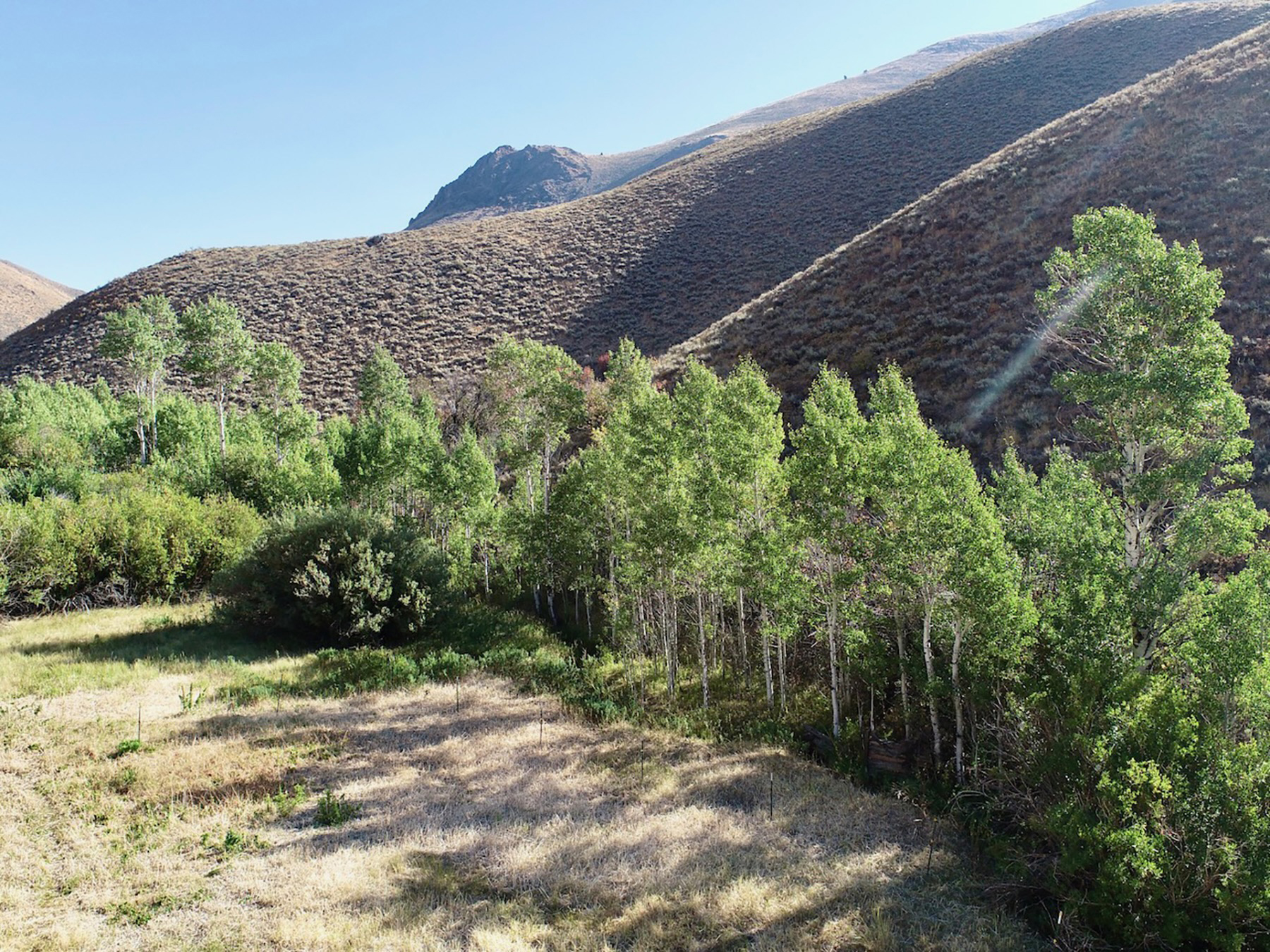 Spirit Woman Ranch property picture 48 of 57