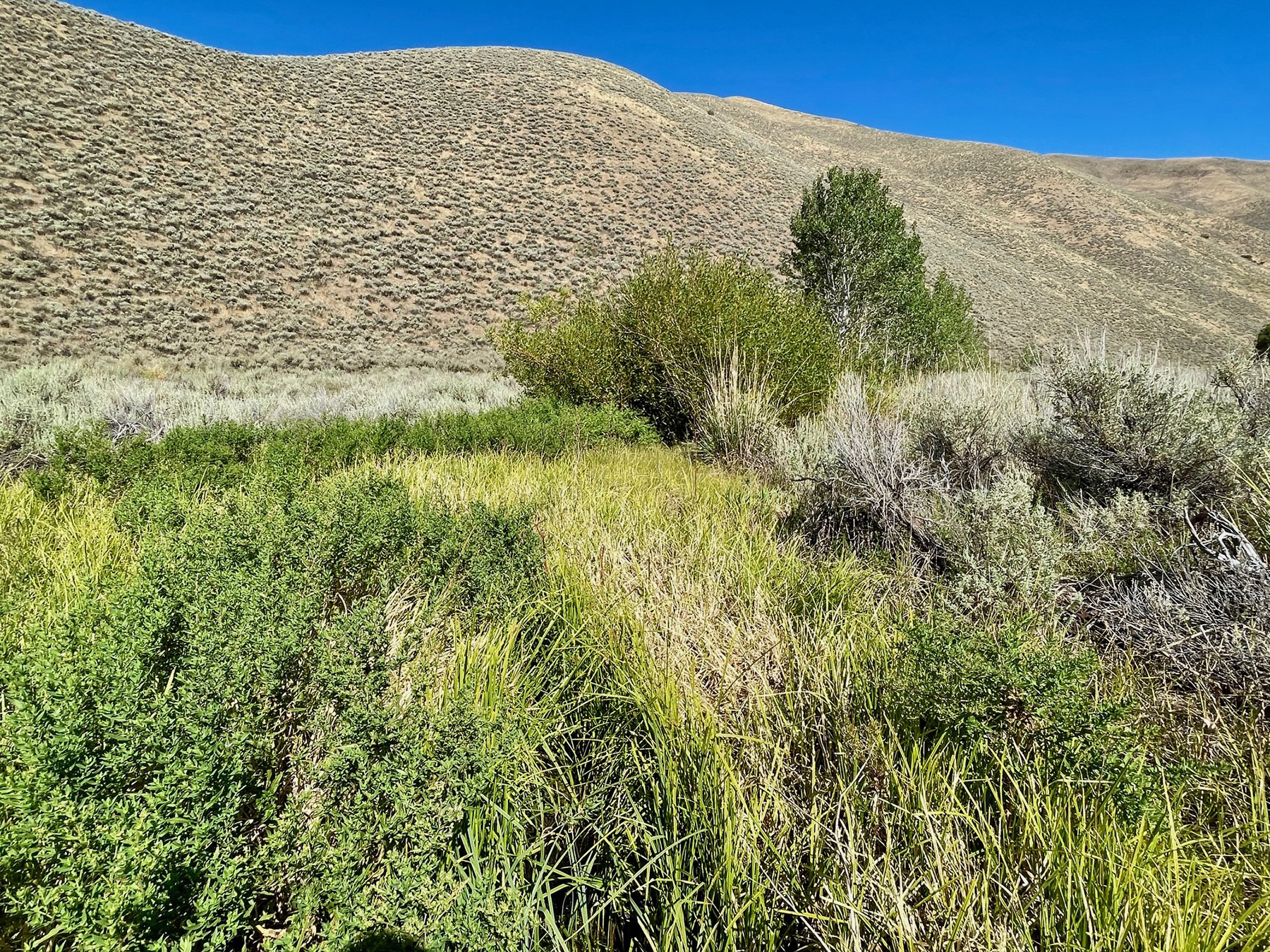 Spirit Woman Ranch property picture 38 of 57
