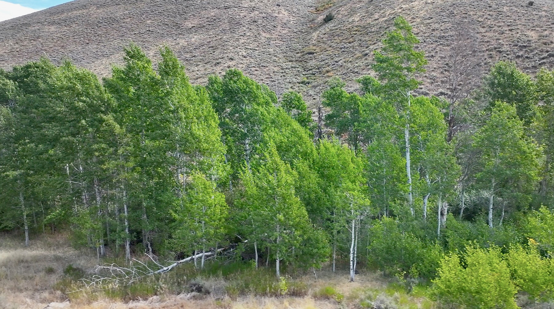 Spirit Woman Ranch property picture 33 of 57