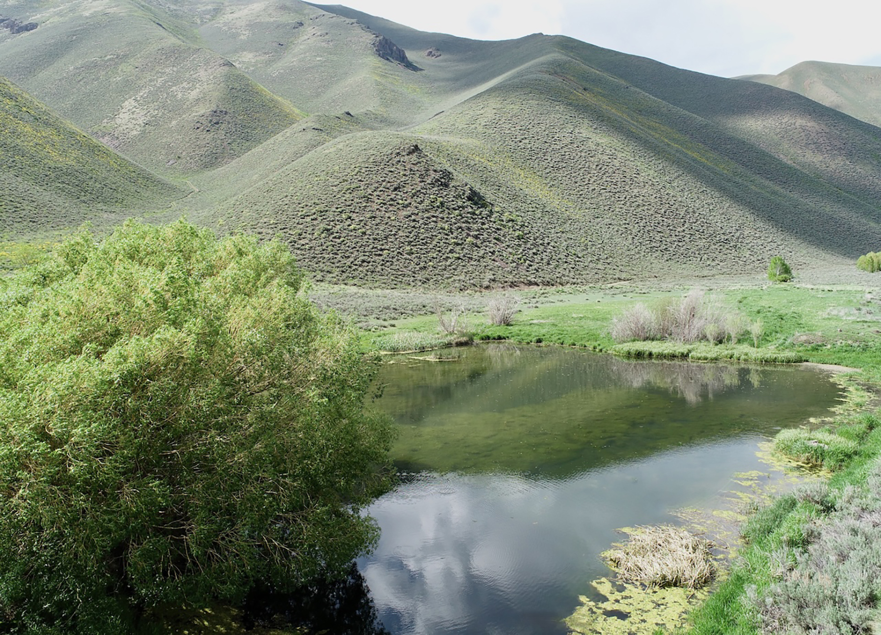 Spirit Woman Ranch property picture 22 of 57