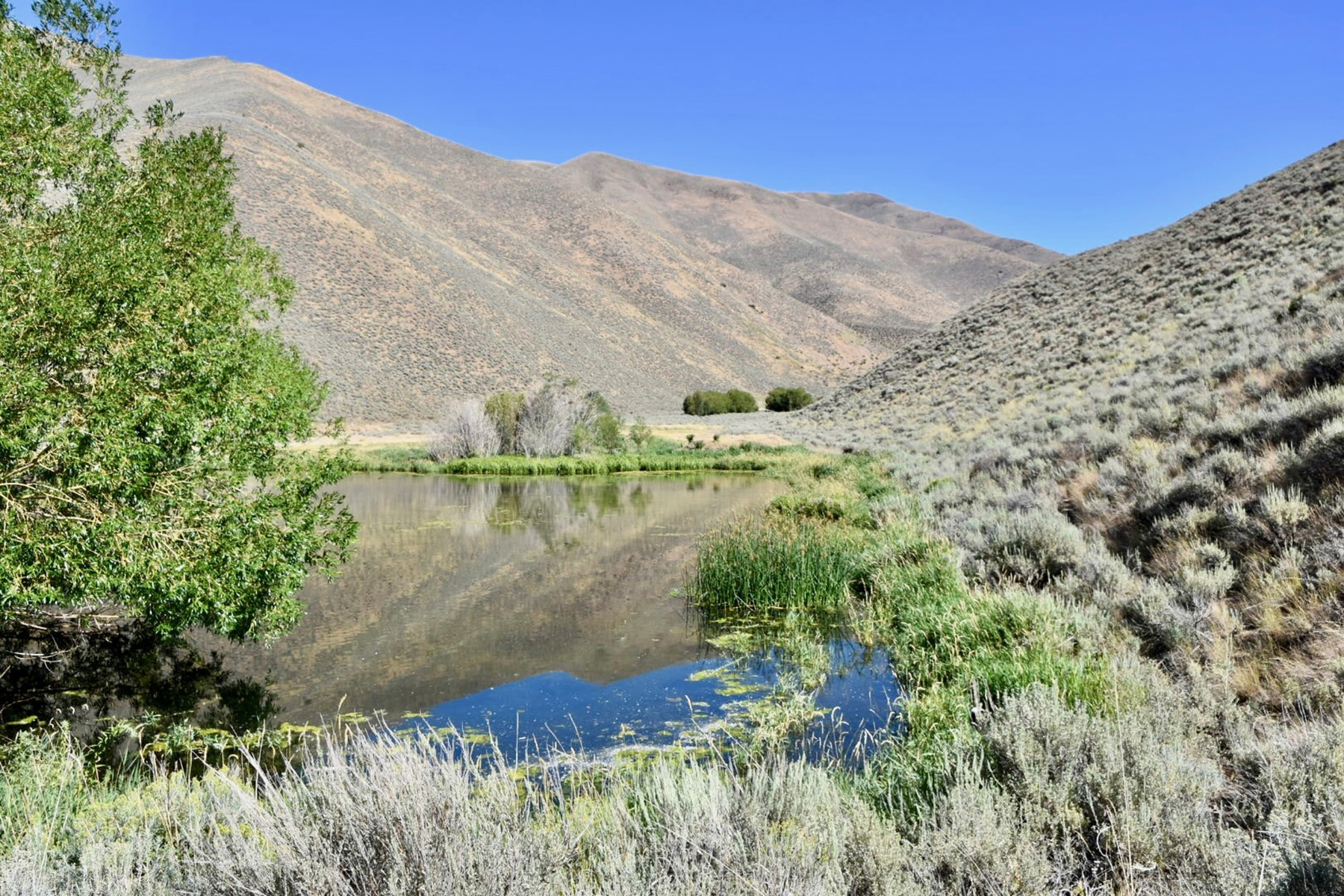 Spirit Woman Ranch property picture 42 of 57