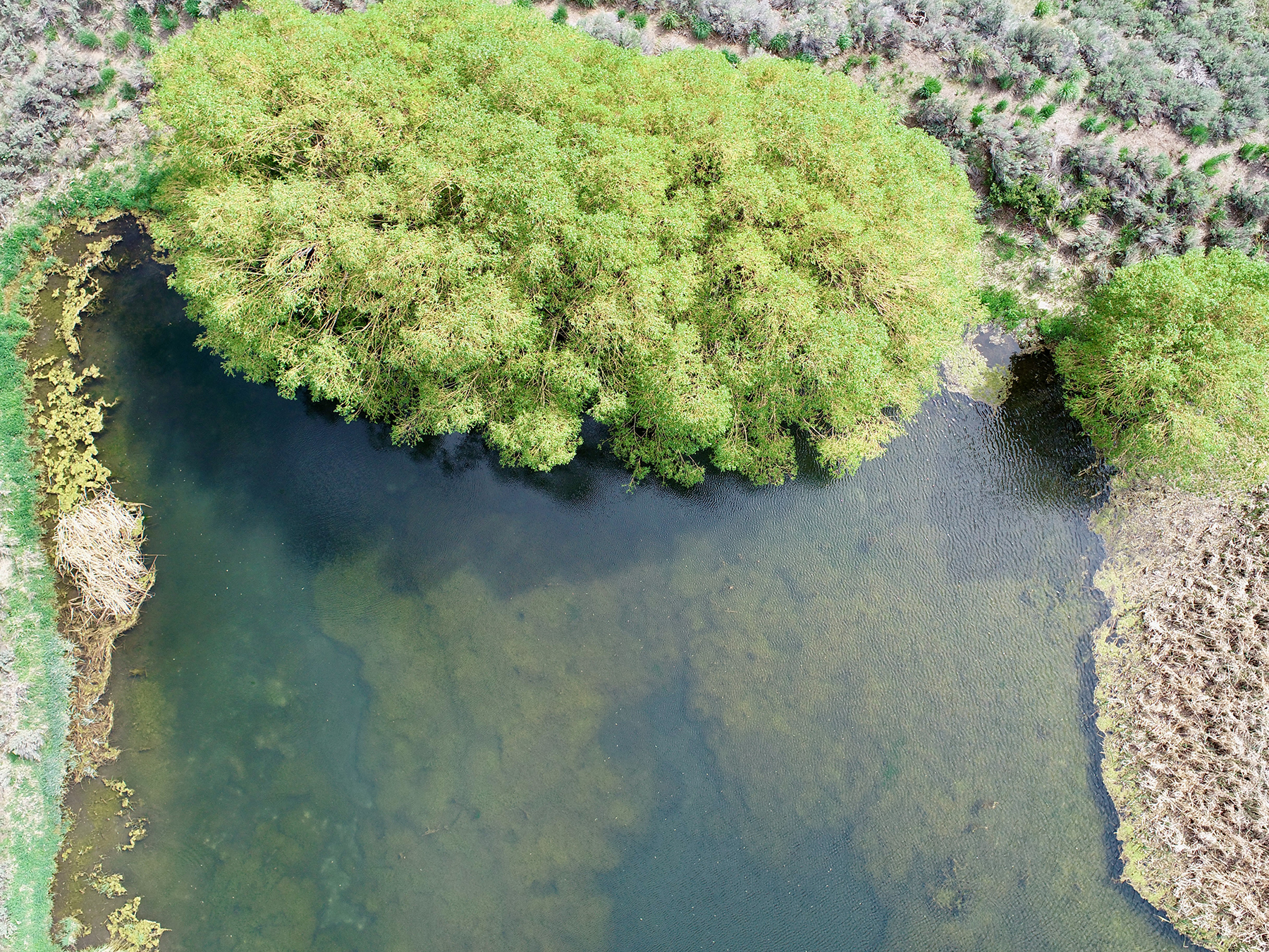 Spirit Woman Ranch property picture 6 of 57