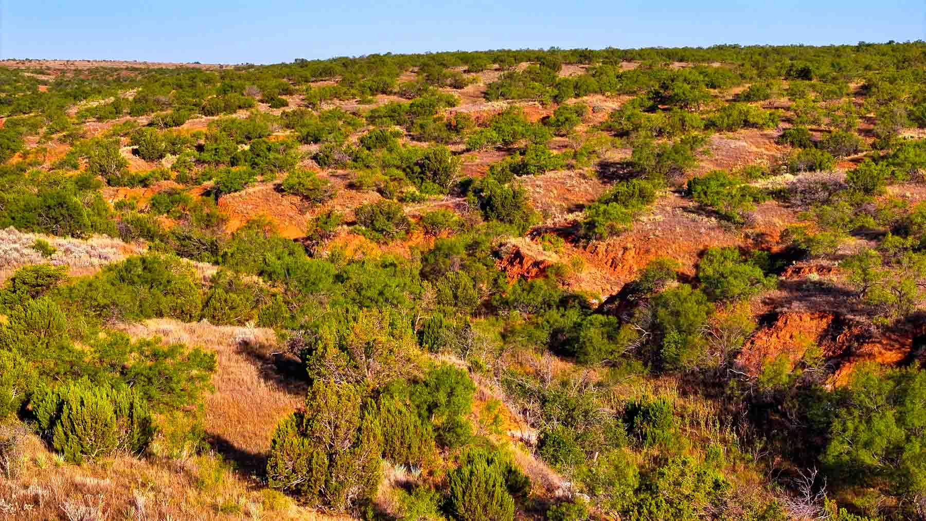 Canyon Creek Ranch property picture 39 of 60