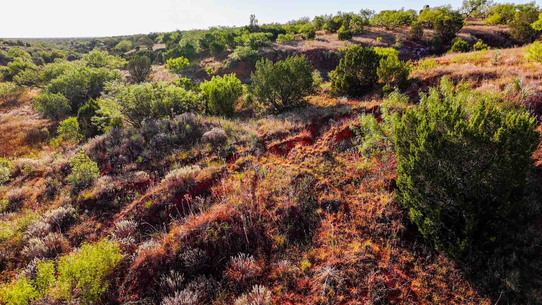 Canyon Creek Ranch property picture 43 of 60