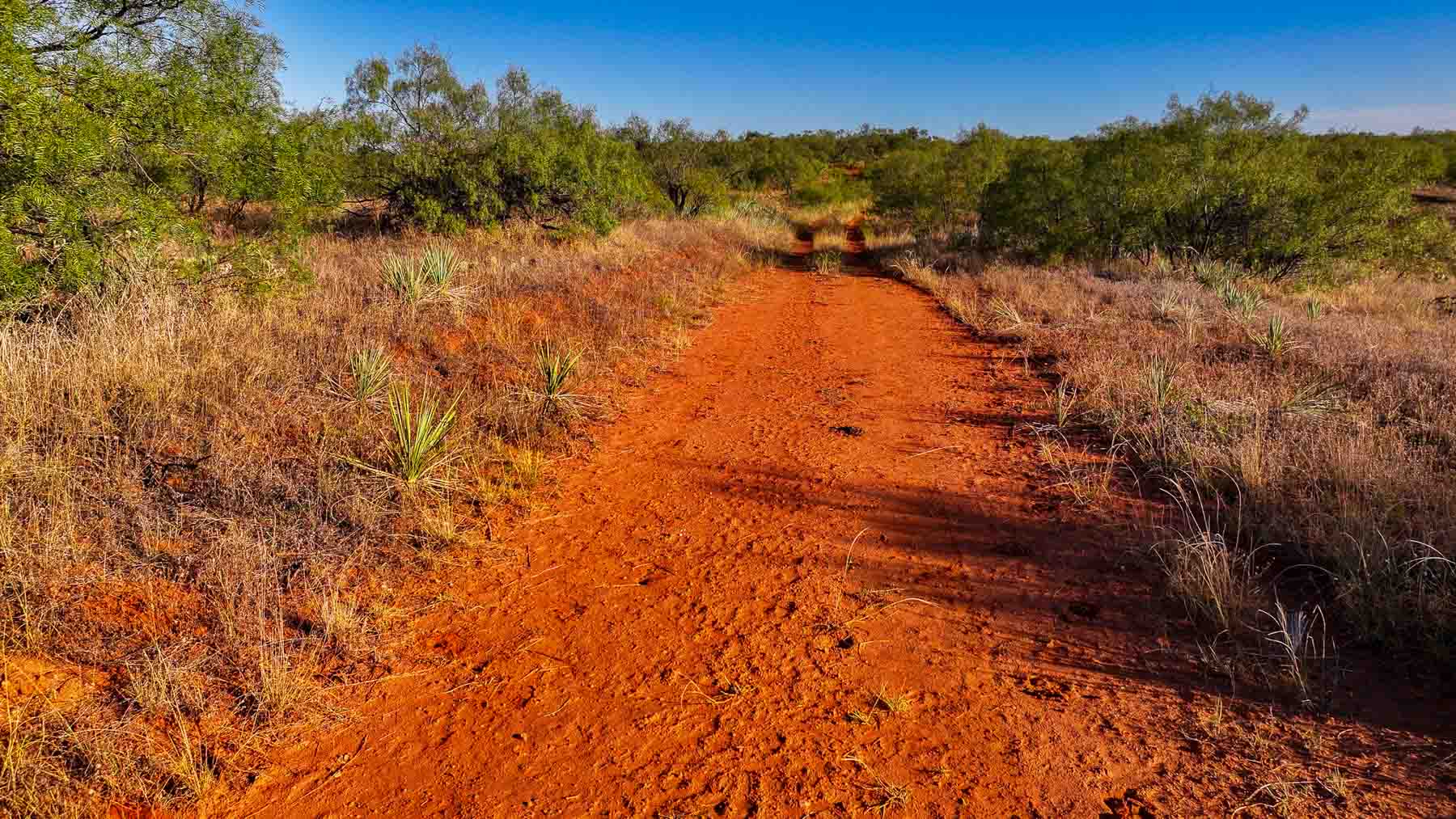 Canyon Creek Ranch property picture 44 of 60