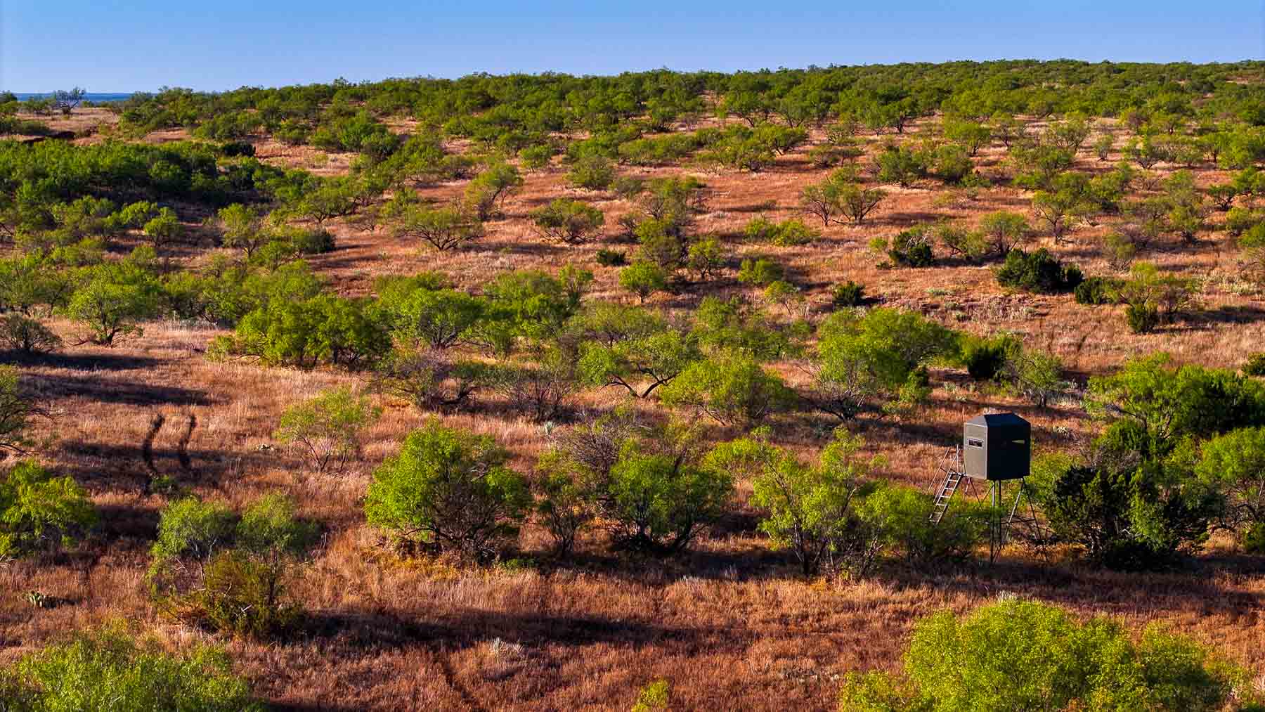 Canyon Creek Ranch property picture 59 of 60