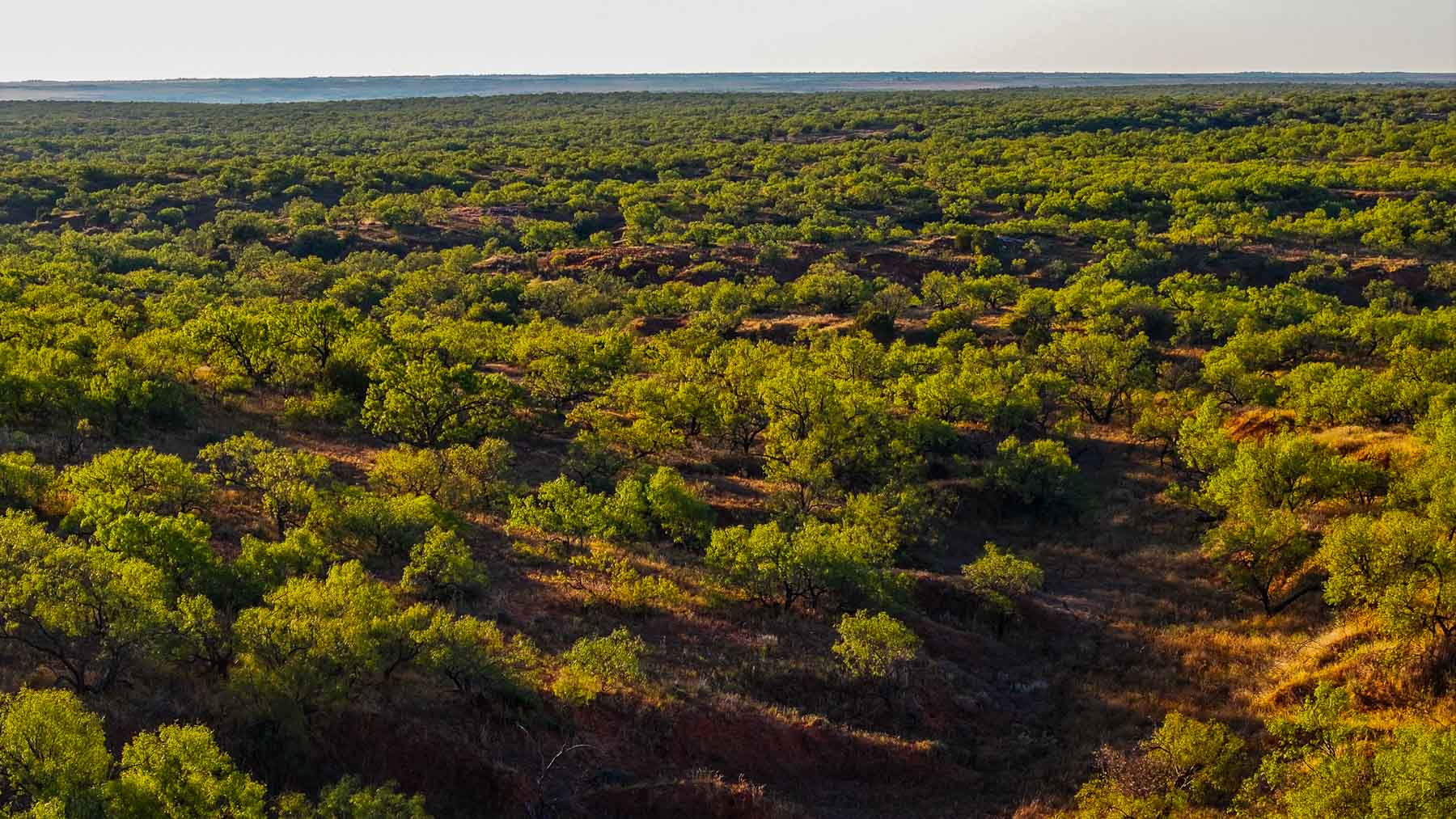 Canyon Creek Ranch property picture 32 of 60