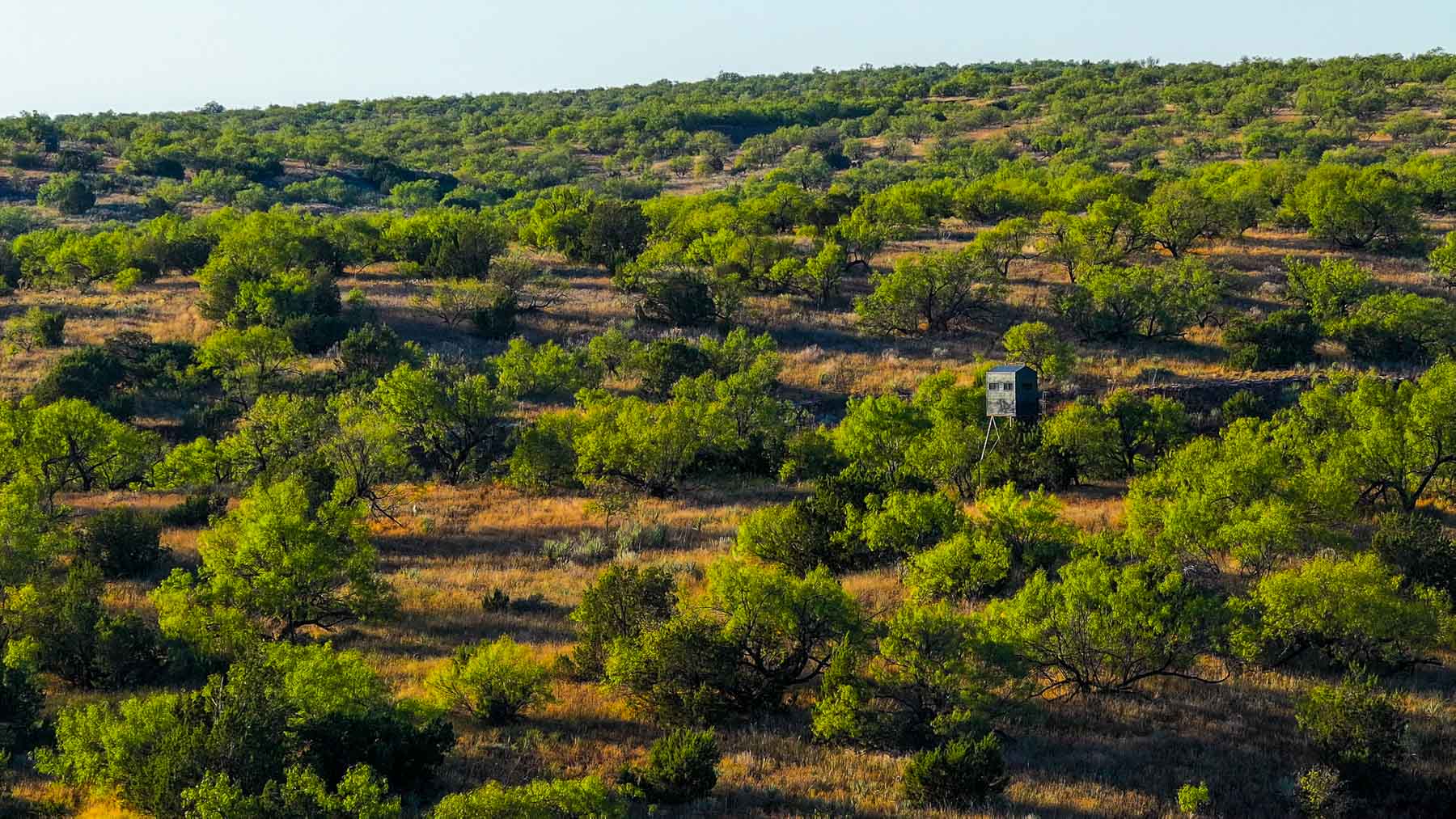 Canyon Creek Ranch property picture 51 of 60