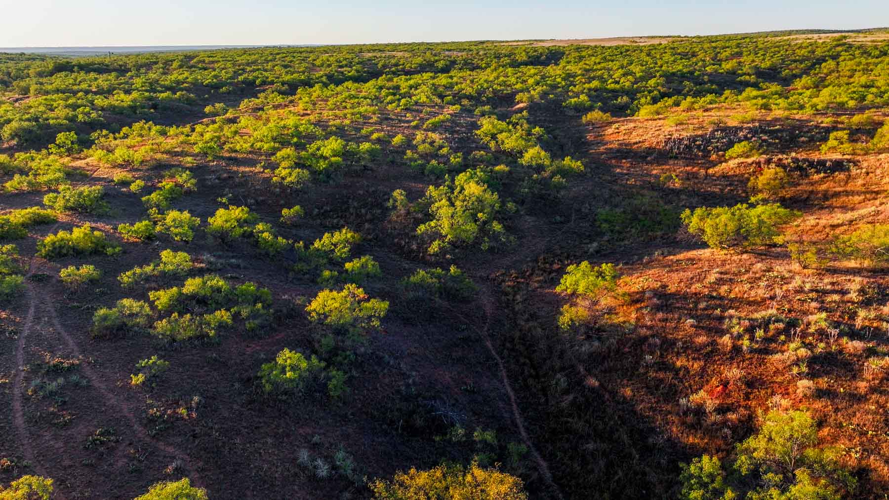 Canyon Creek Ranch property picture 21 of 60