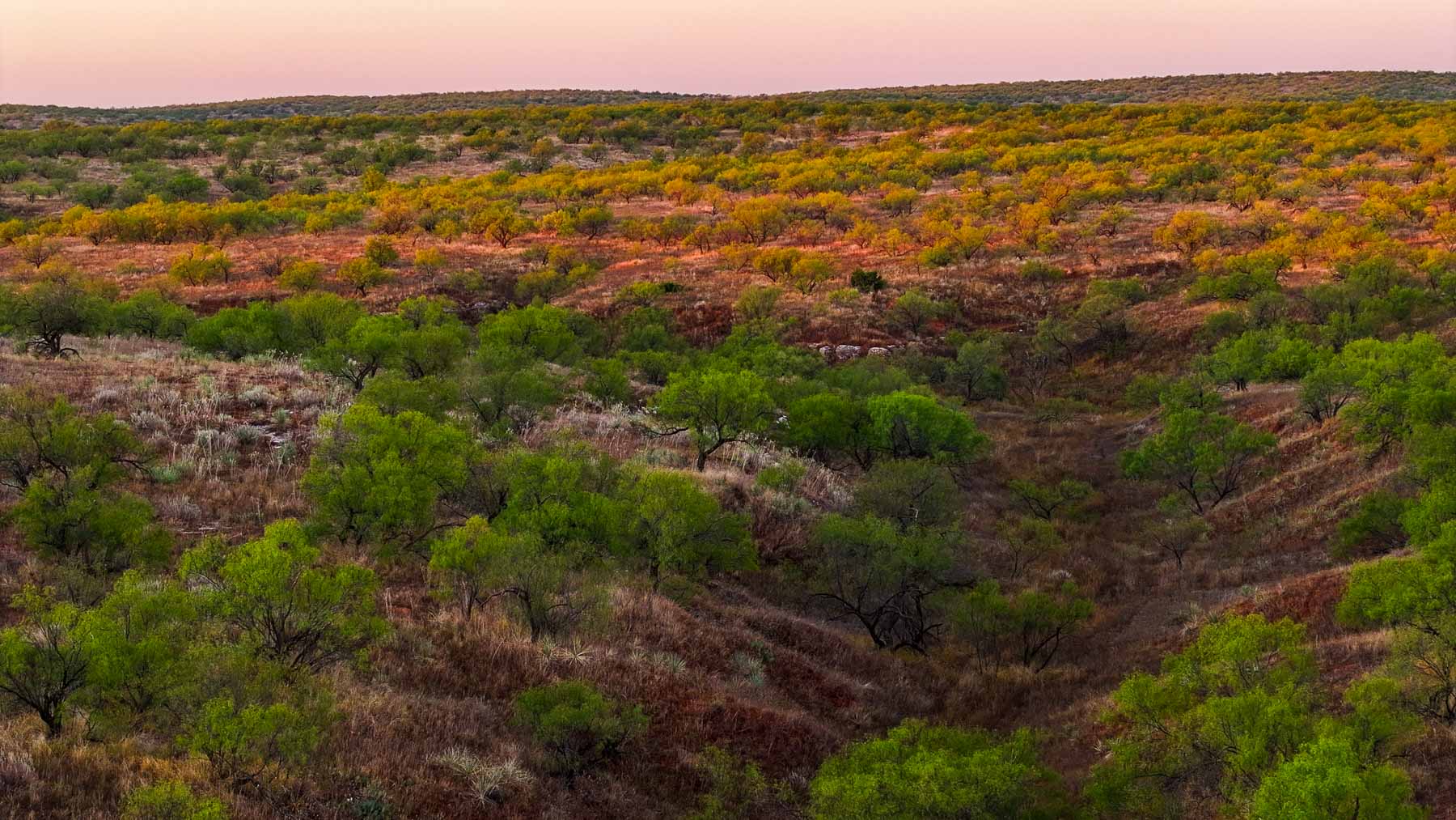 Canyon Creek Ranch property picture 3 of 60