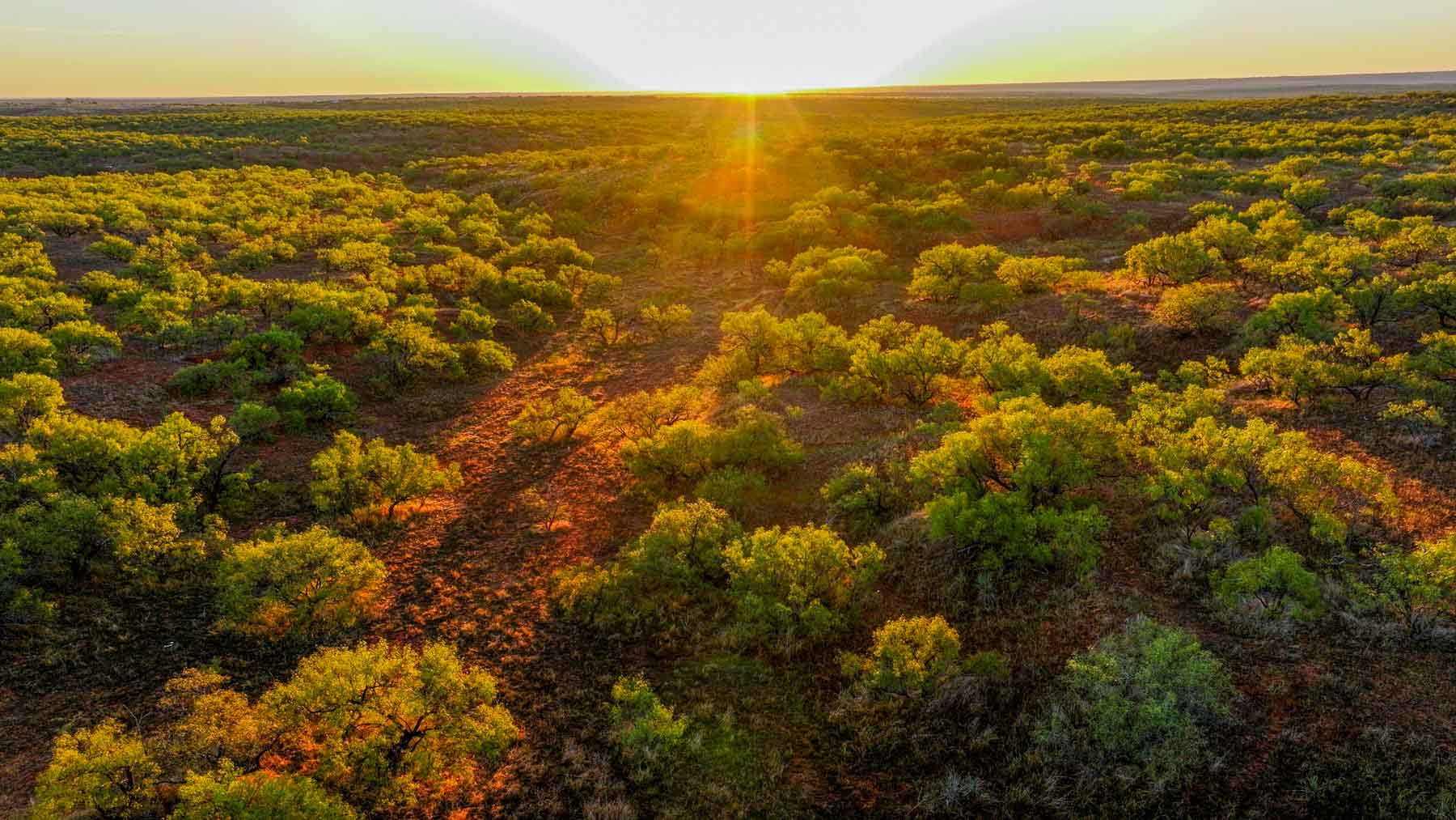 Canyon Creek Ranch property picture 6 of 60