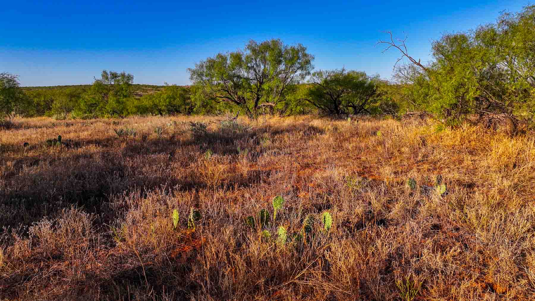 Canyon Creek Ranch property picture 45 of 60