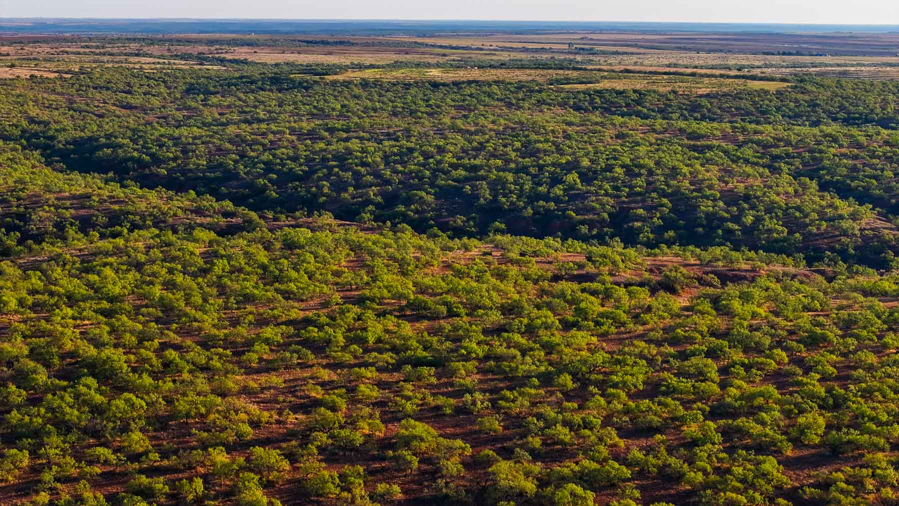 Canyon Creek Ranch property picture 28 of 60