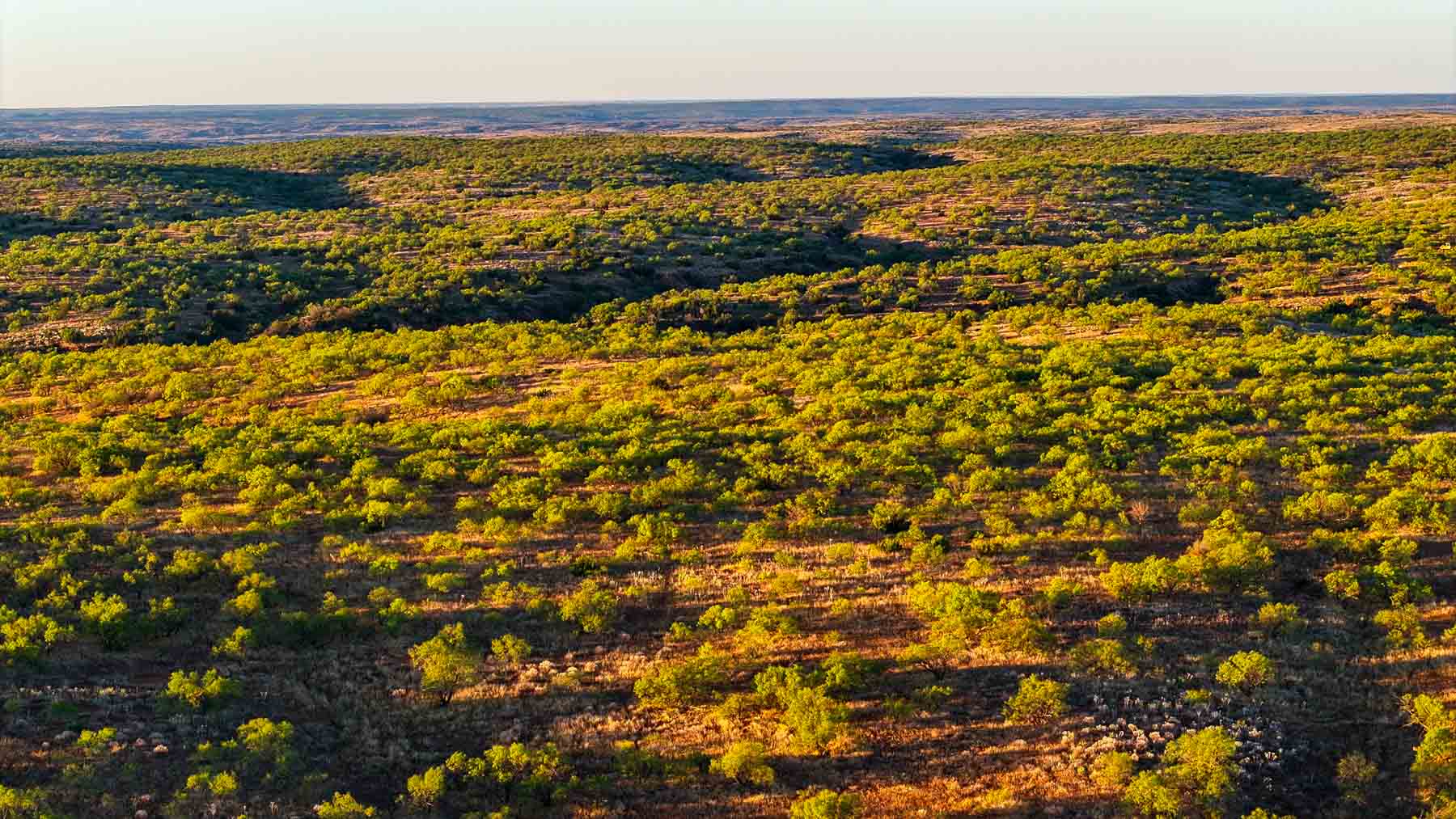 Canyon Creek Ranch property picture 19 of 60