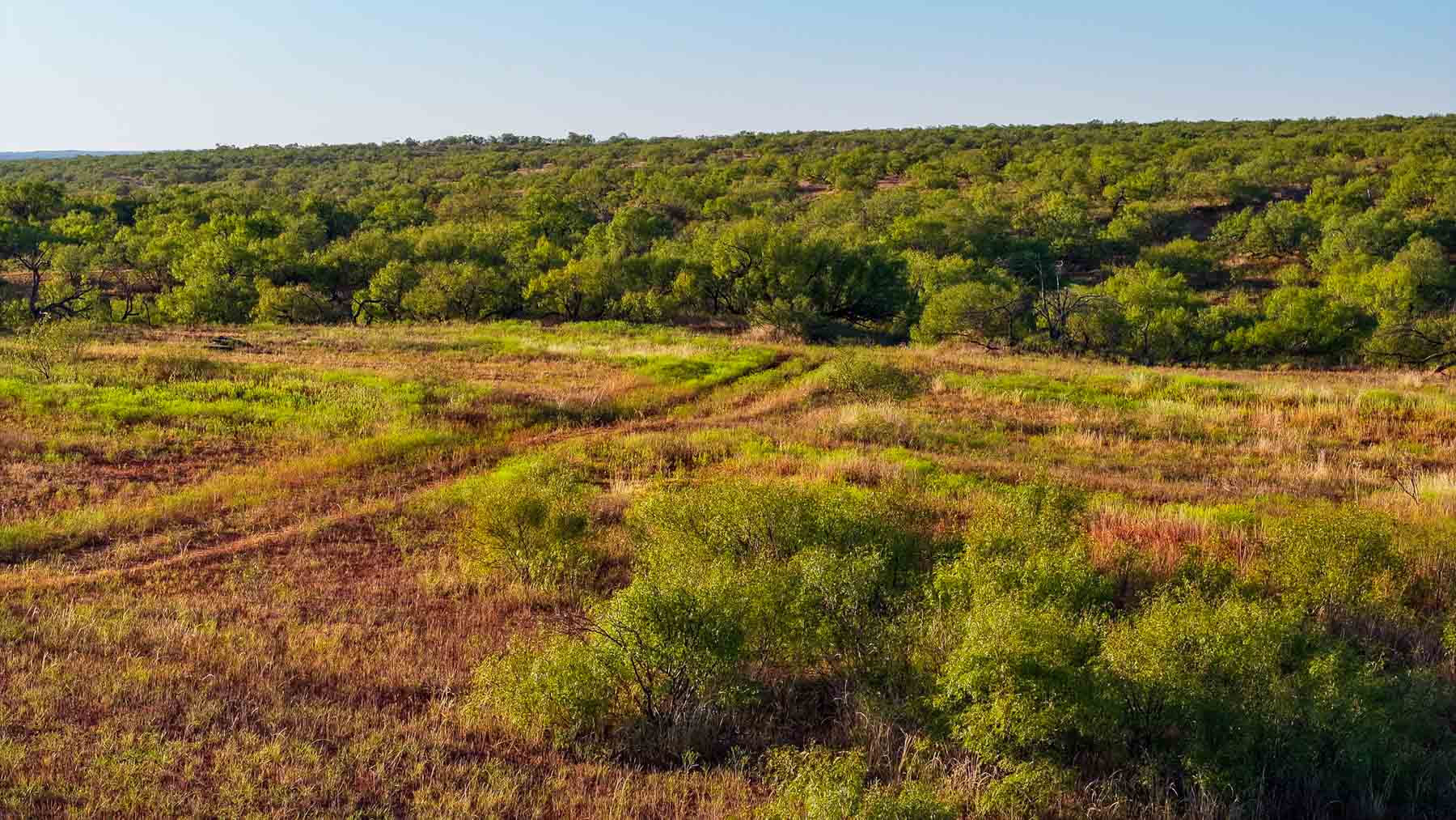 Canyon Creek Ranch property picture 29 of 60