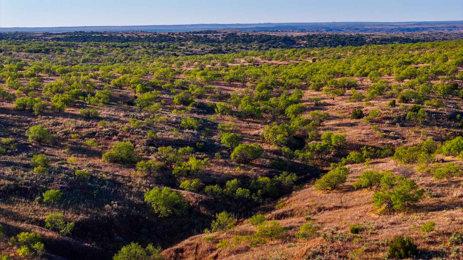 Canyon Creek Ranch property picture 55 of 60