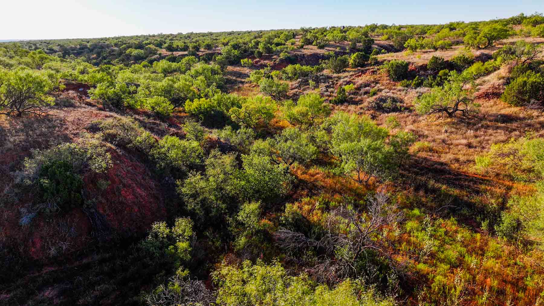Canyon Creek Ranch property picture 42 of 60