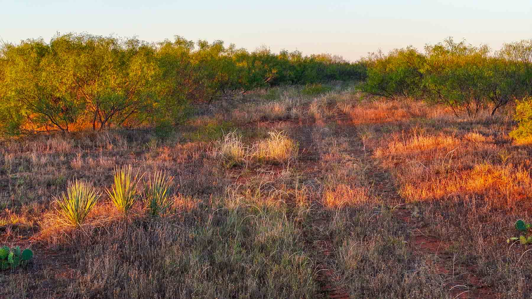 Canyon Creek Ranch property picture 14 of 60