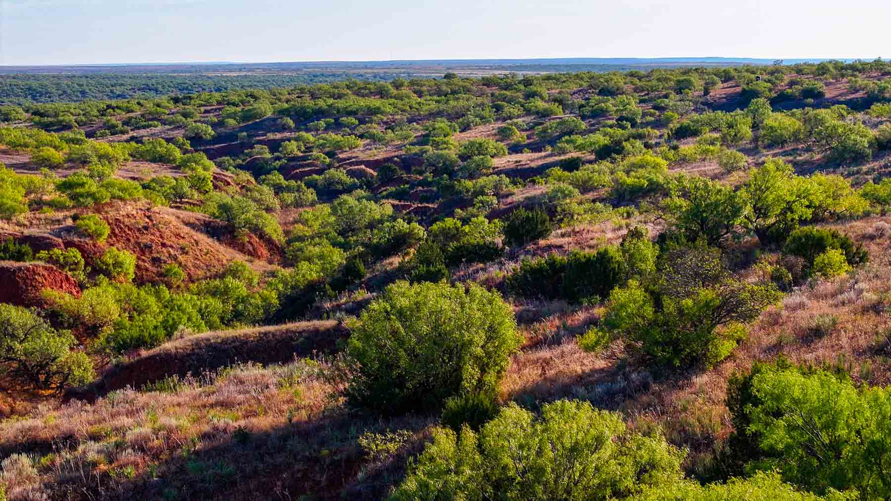 Canyon Creek Ranch property picture 38 of 60