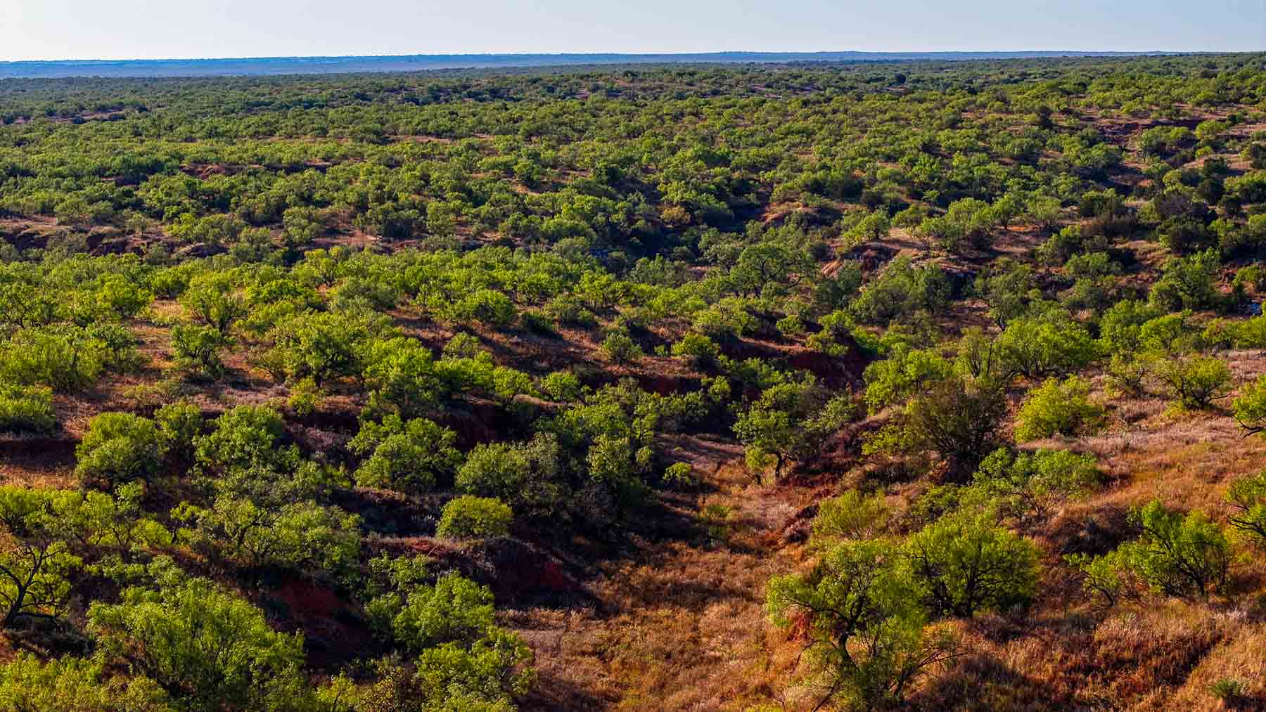 Canyon Creek Ranch property picture 46 of 60