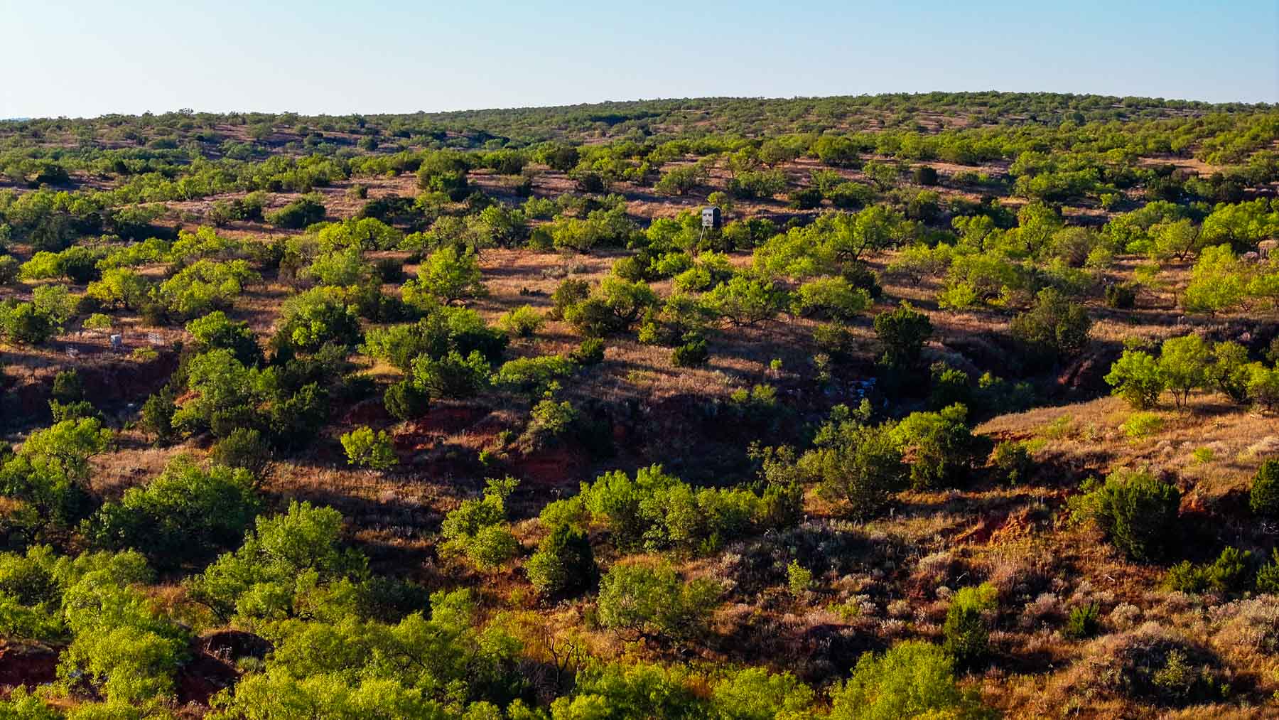 Canyon Creek Ranch property picture 36 of 60