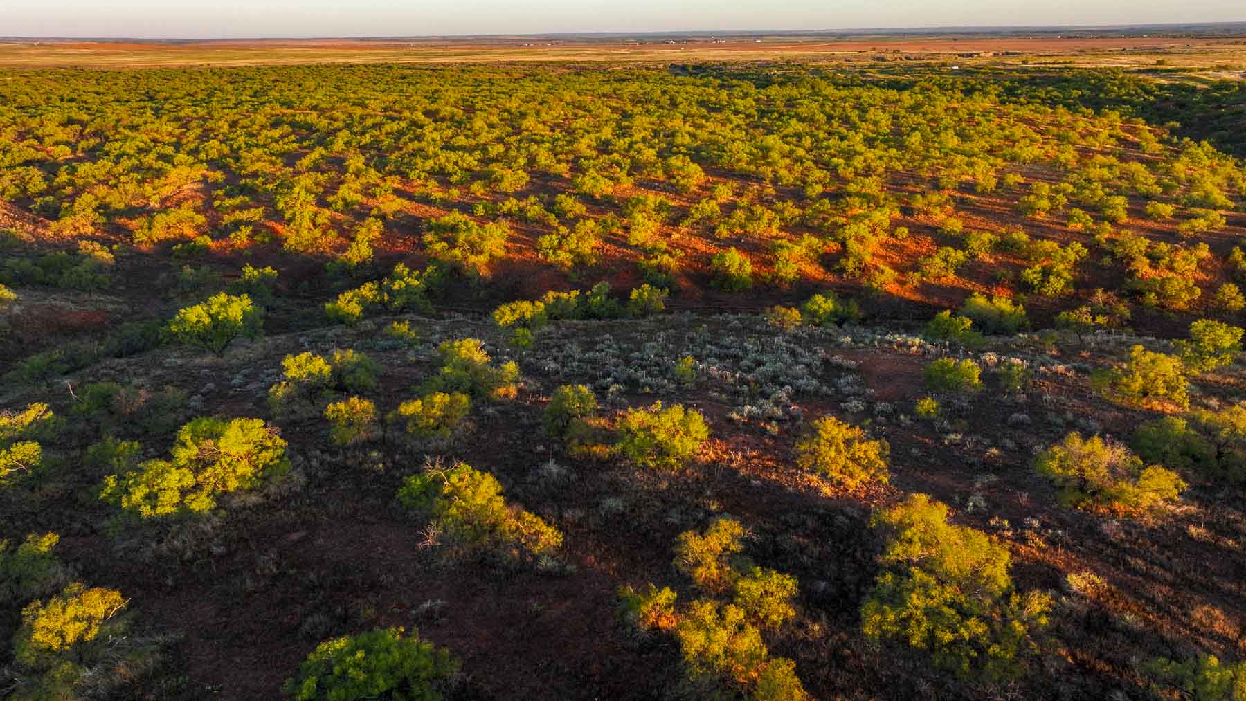 Canyon Creek Ranch property picture 16 of 60