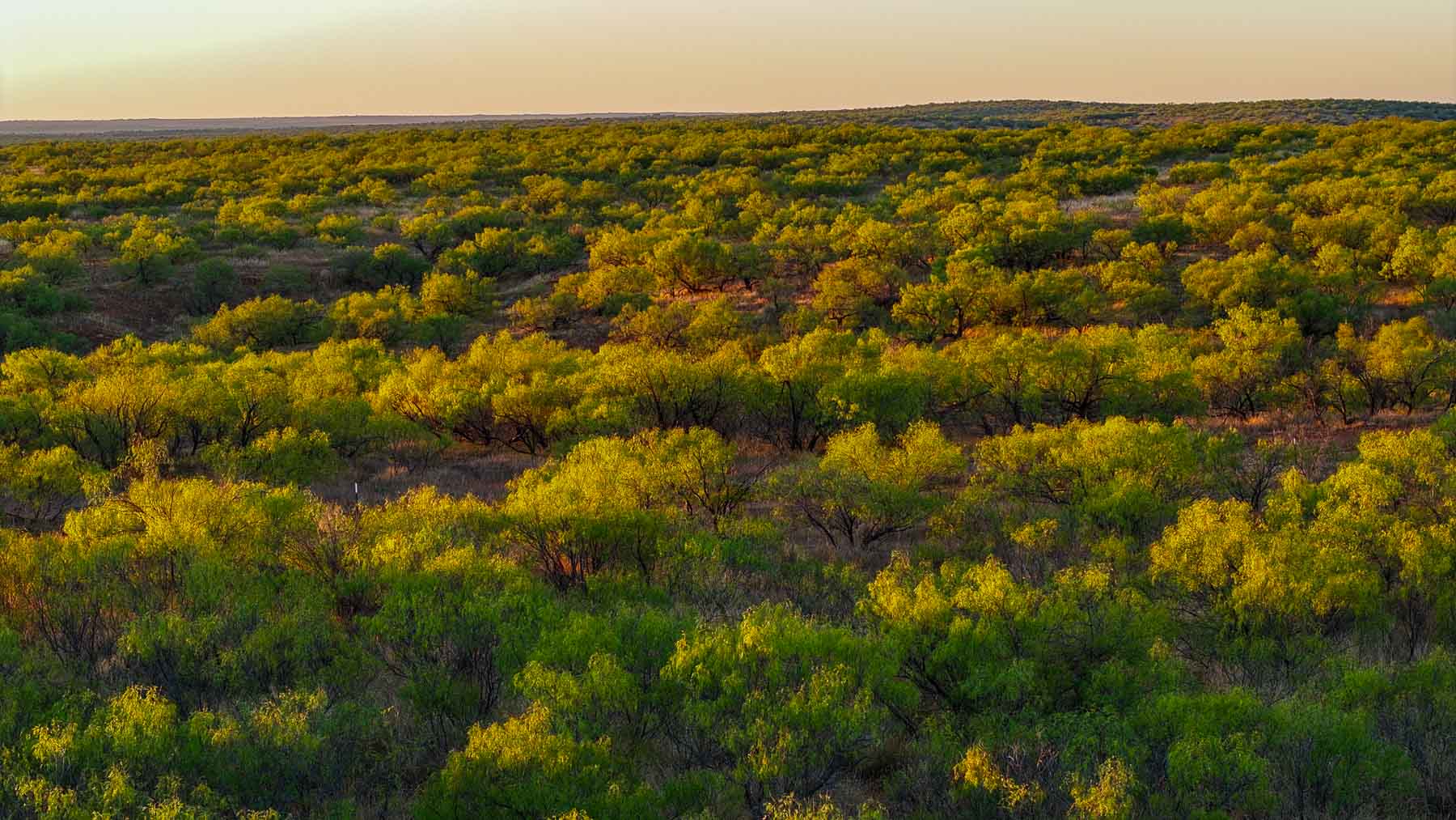 Canyon Creek Ranch property picture 5 of 60