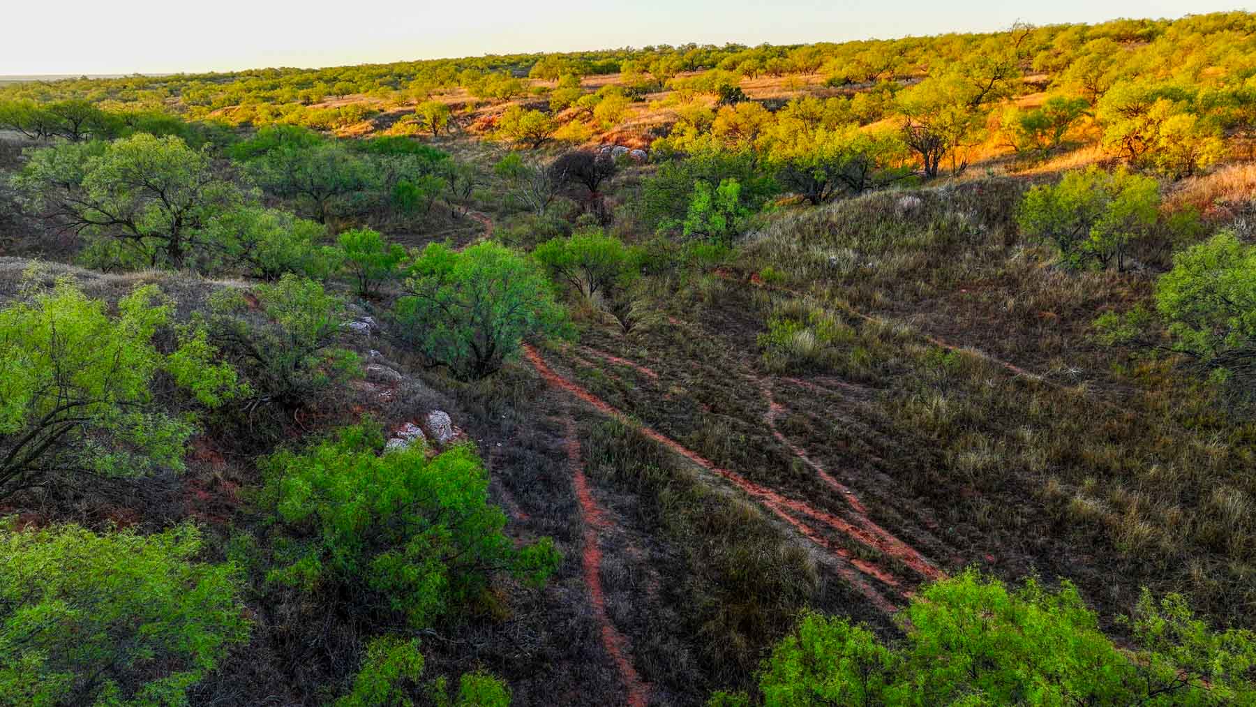 Canyon Creek Ranch property picture 7 of 60