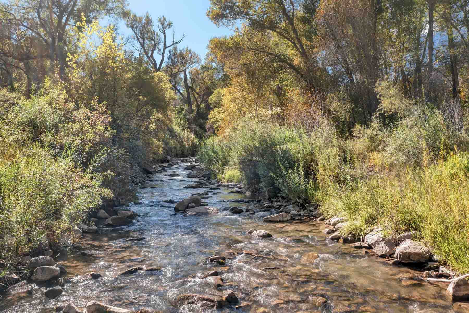 Anderson Camps Ranch property picture 12 of 48