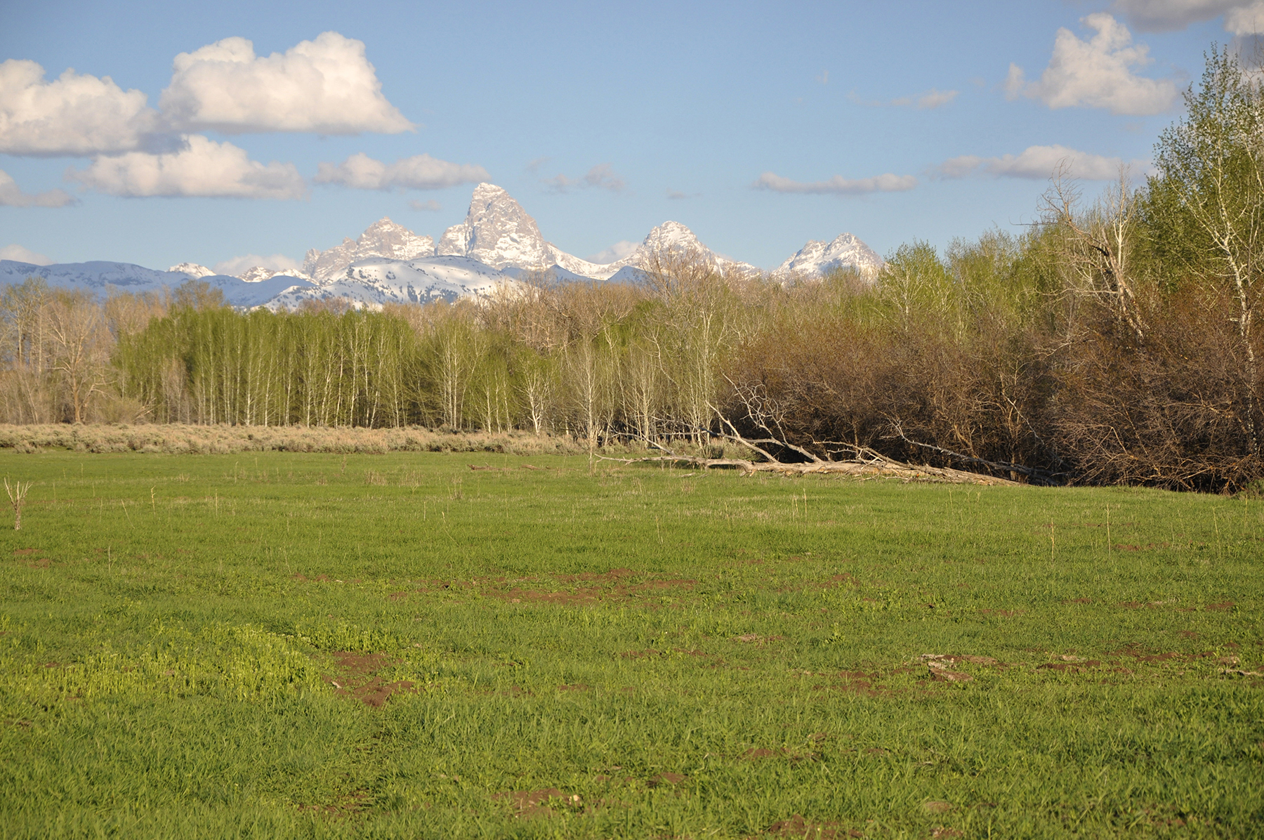 Three Peaks Ranch property picture 33 of 38