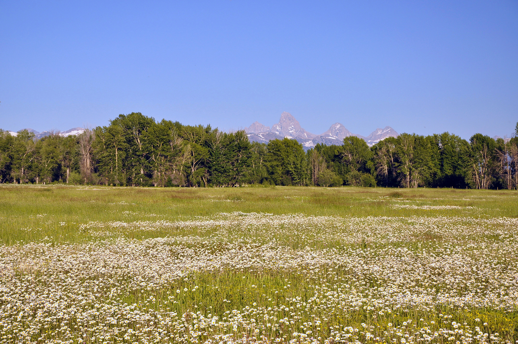 Three Peaks Ranch property picture 20 of 38