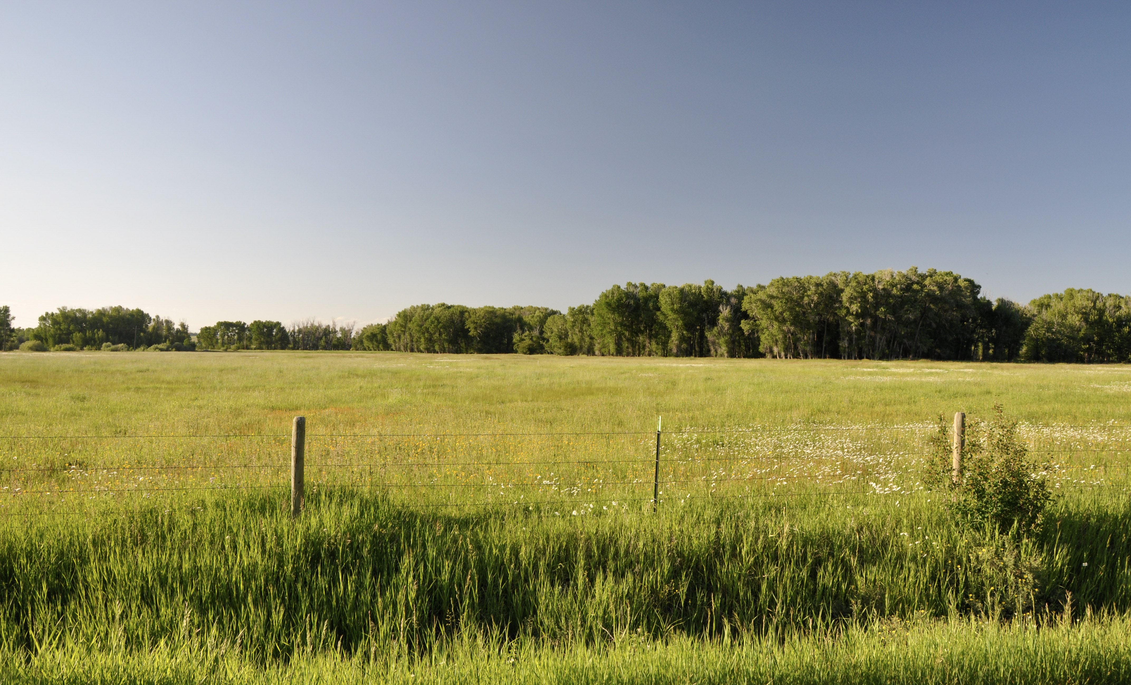 Three Peaks Ranch property picture 24 of 38