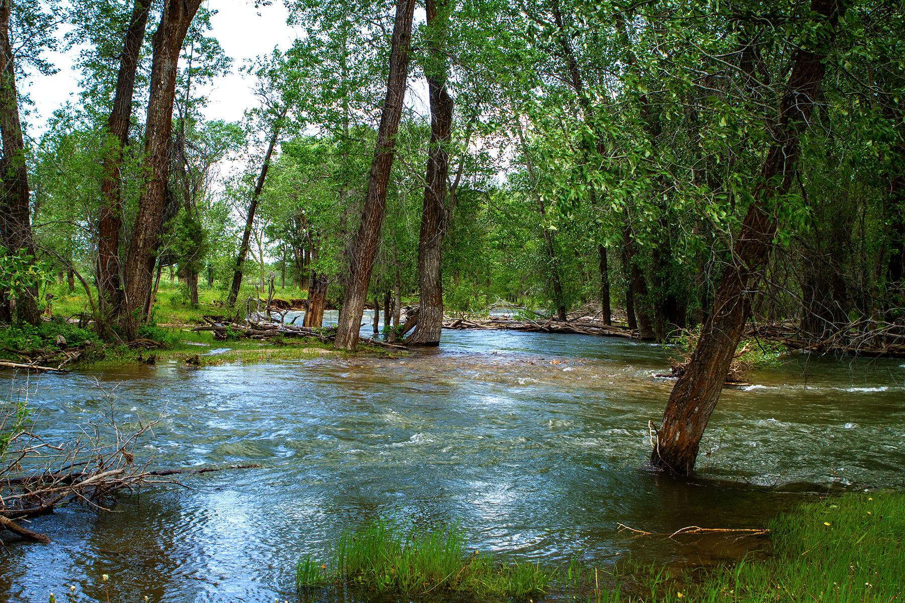 Three Peaks Ranch property picture 37 of 38