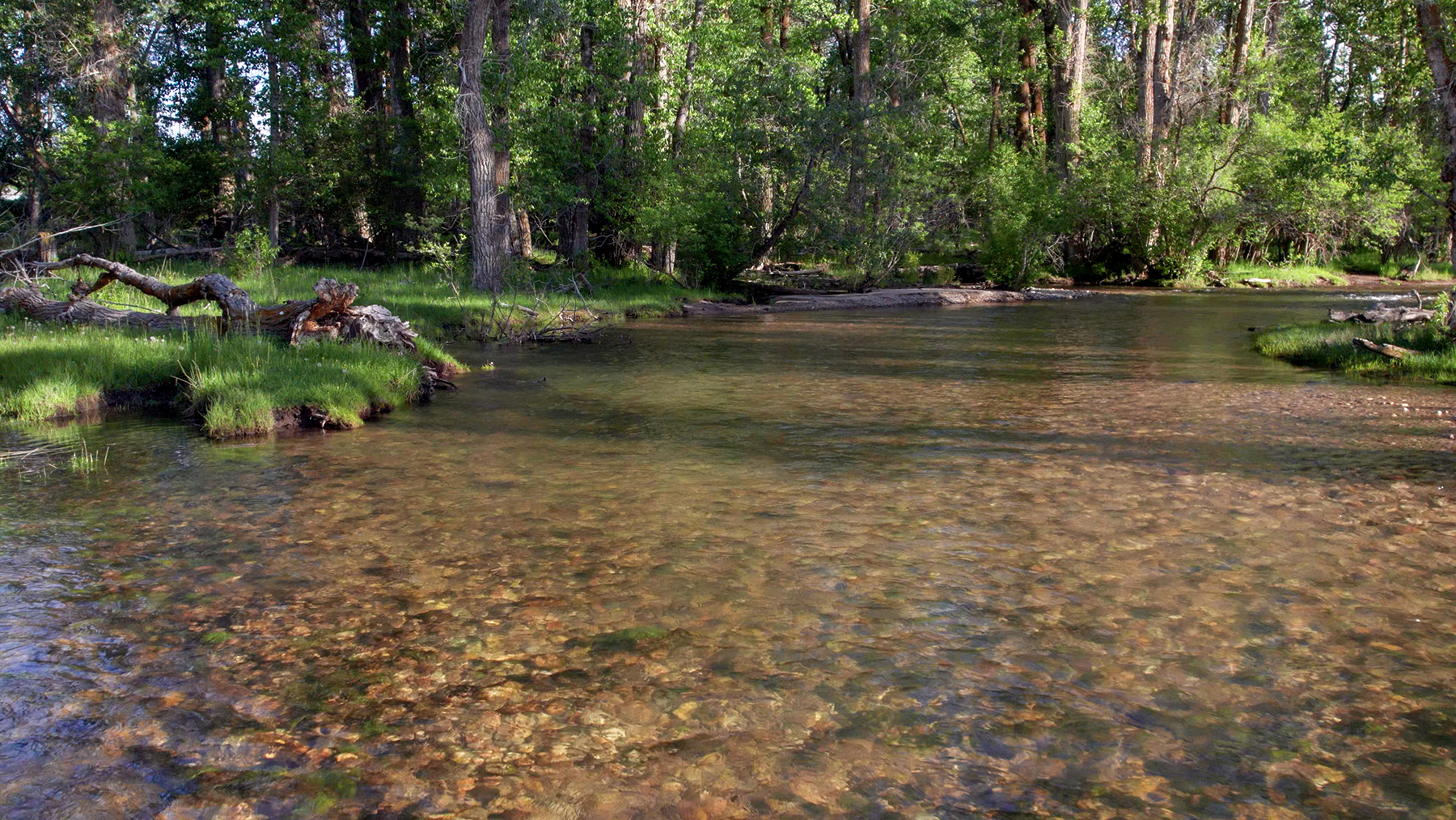Three Peaks Ranch property picture 4 of 38