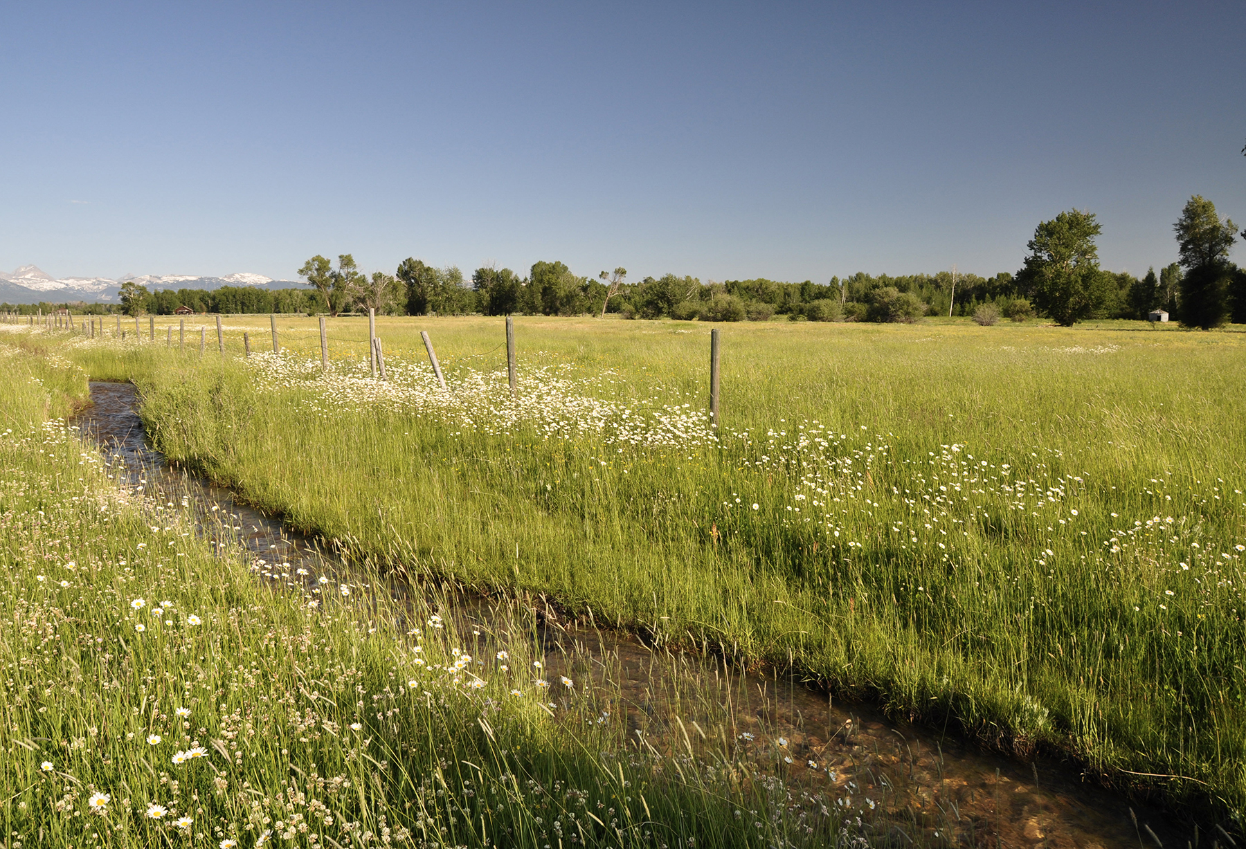 Three Peaks Ranch property picture 19 of 38