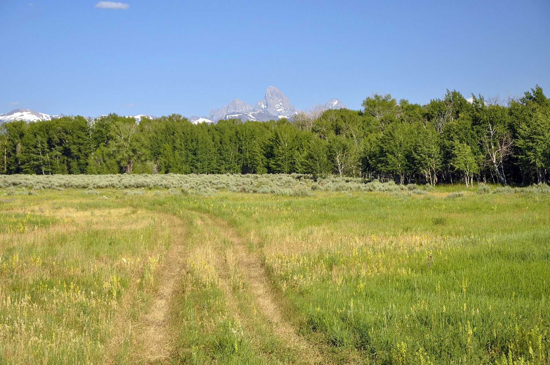 Three Peaks Ranch property picture 3 of 38